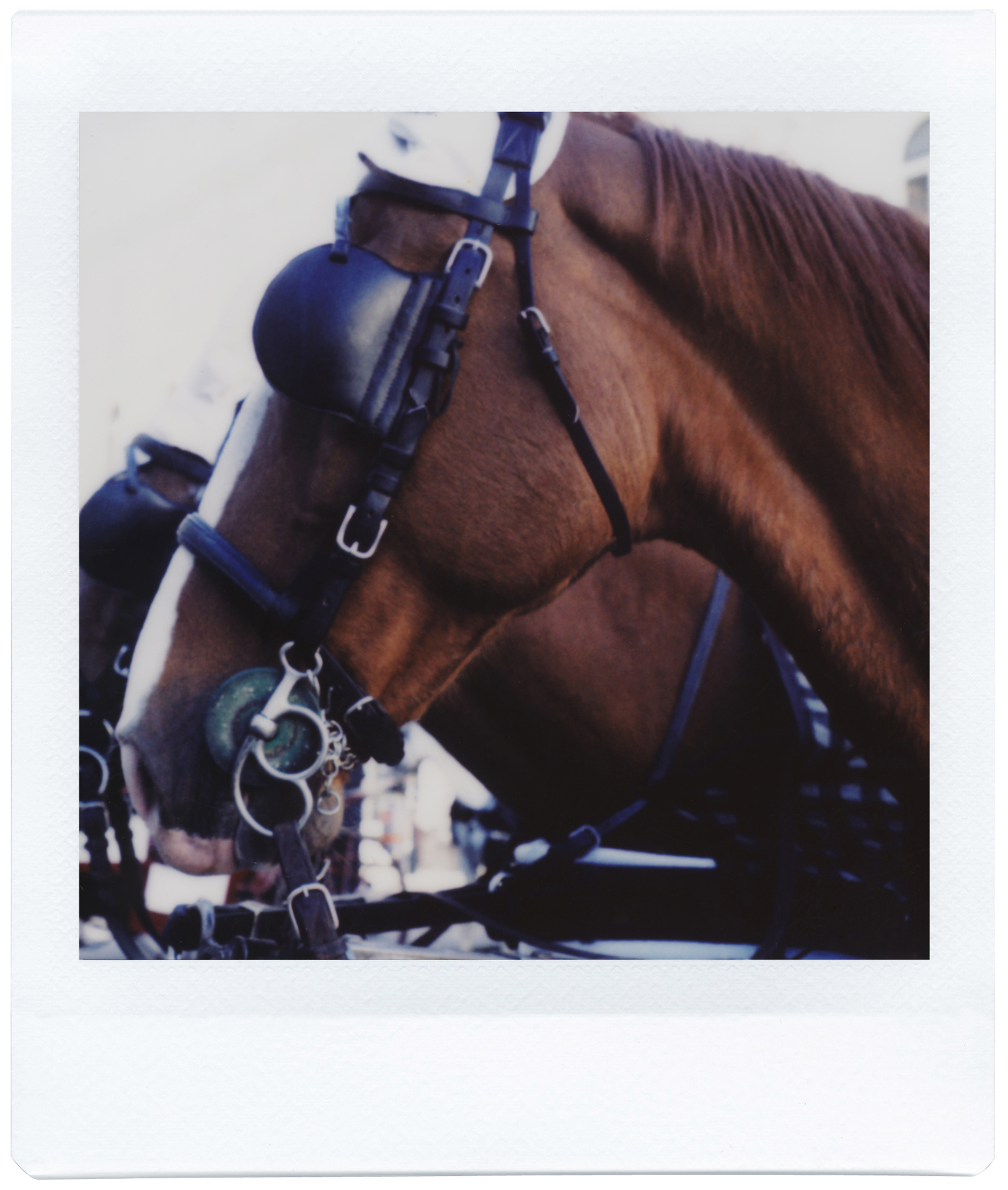 メーカー提供（使用フィルム：instax SQUARE）