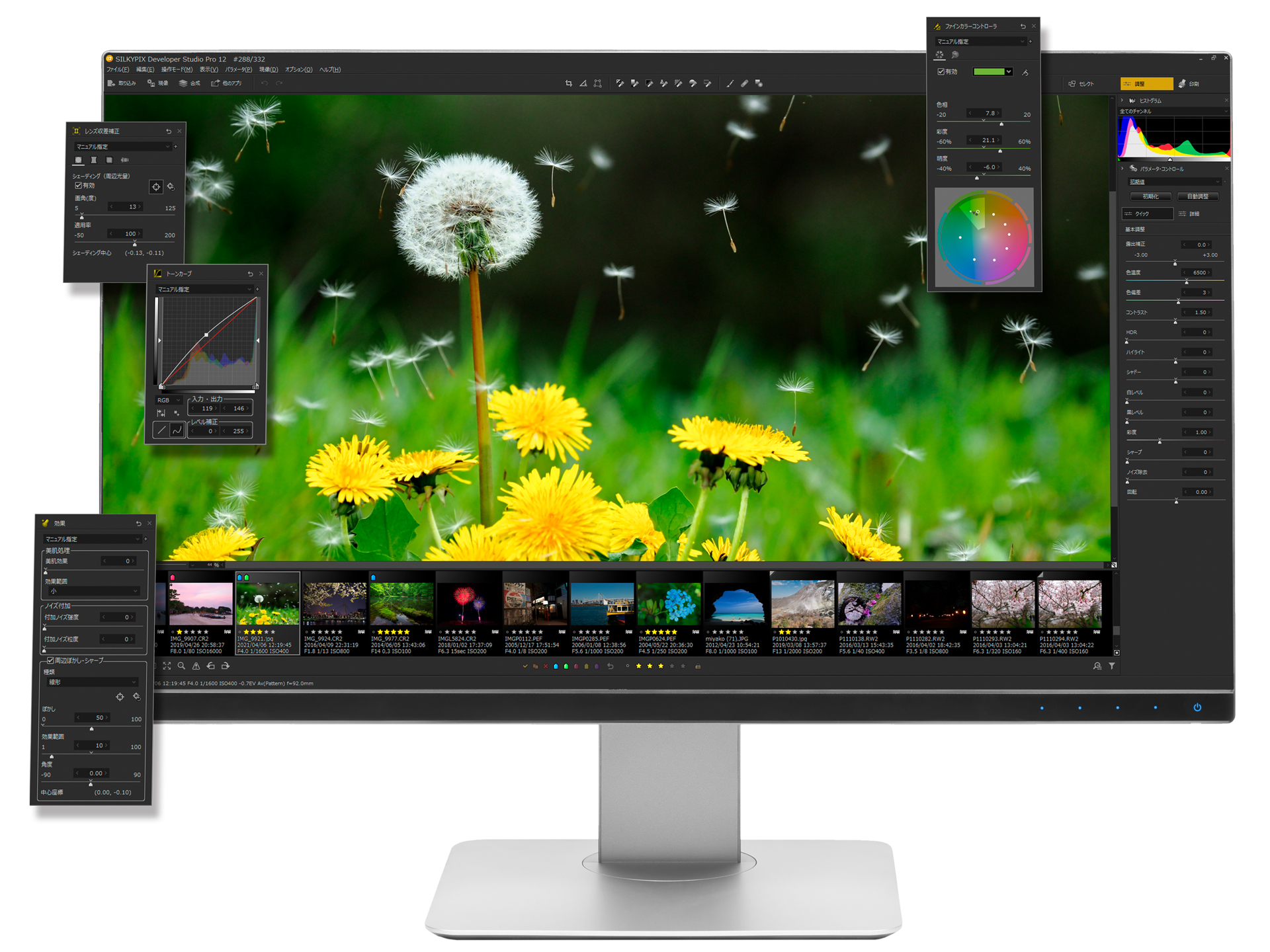 SILKYPIX Developer Studio Pro12