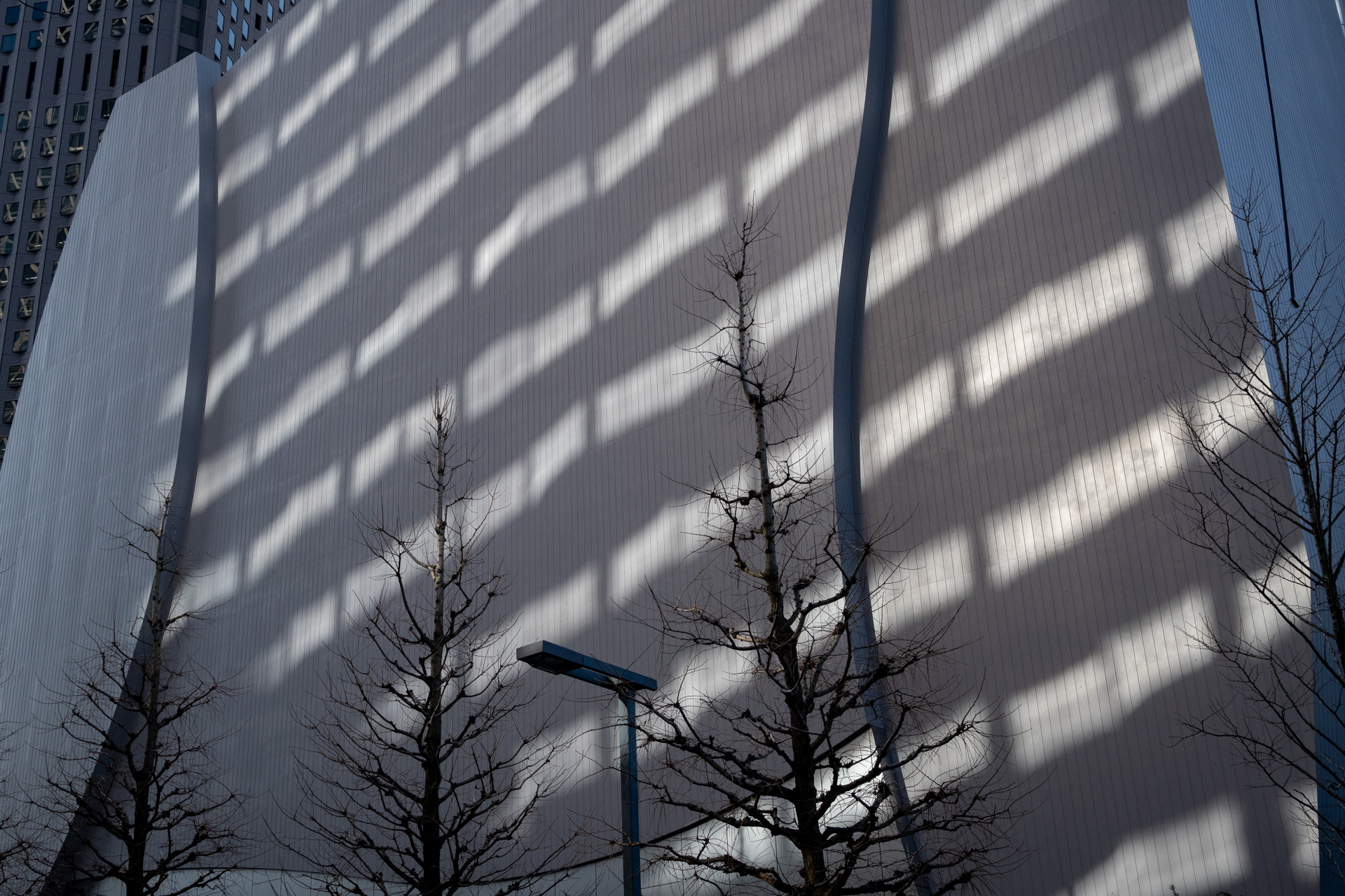 西新宿で見た光景。ガラスの反射がいい感じです。太陽の角度からみると、この時期ならではの景色なんじゃないかなあ。階調も綺麗ですし、線の細い描写ですね。デフォルトなんだけど。<br><span class="fnt-85">ニコン Z50II／NIKKOR Z 28mm f/2.8／28mm（42mm相当）／絞り優先AE（1/640秒、F8.0、−0.7EV）／ISO 400</span>