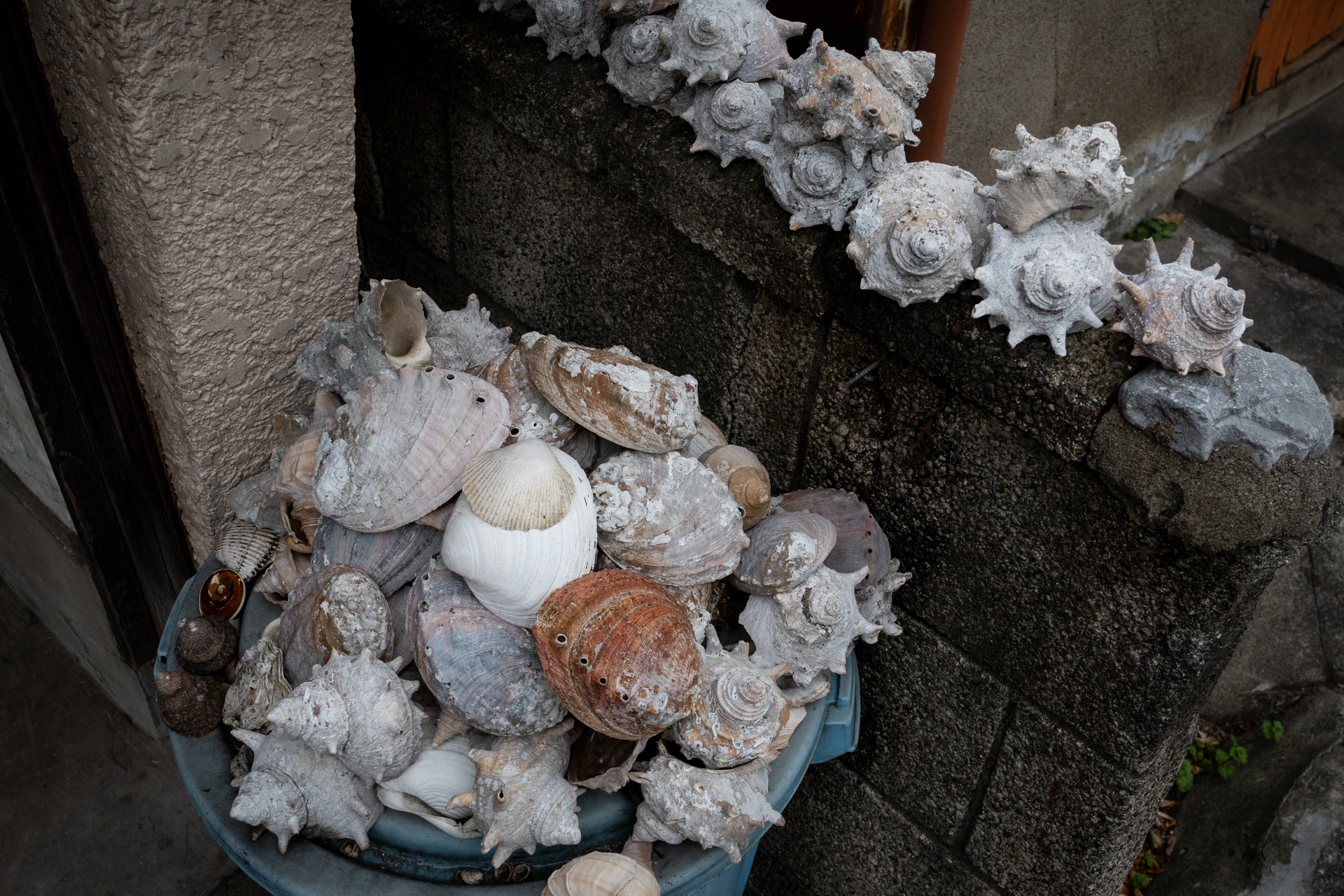 居酒屋の店頭。昼間の光景です。貝に強い店なのか、行きたいぞ。Z50IIくんは中央のアワビの殻にフォーカスを合わせにいきましたね。よい描写です。<br><span class="fnt-85">ニコン Z50II／NIKKOR Z 24-70mm f/4 S／24mm（36mm相当）／絞り優先AE（1/640秒、F8.0、−0.7EV）／ISO 800</span>