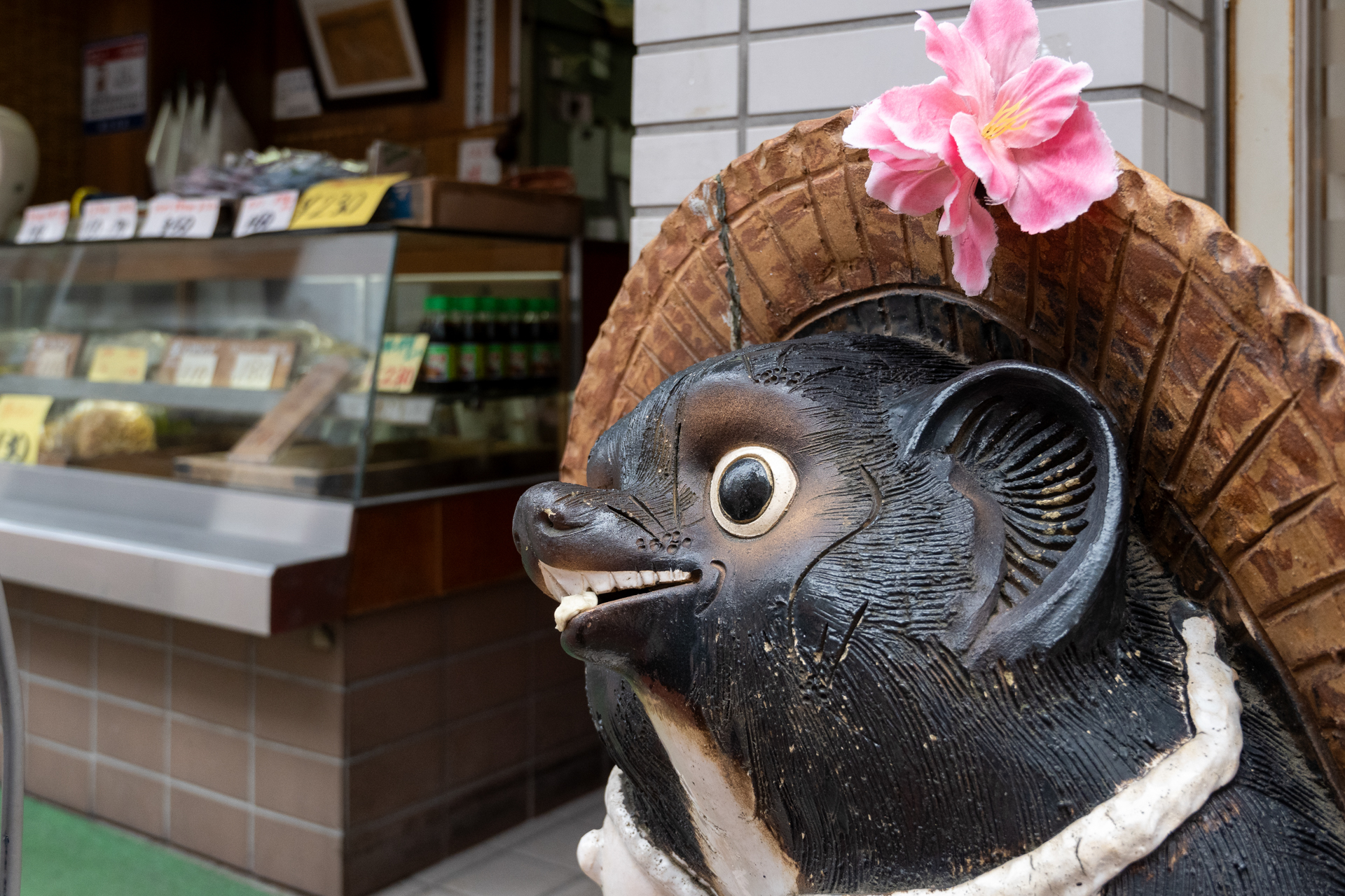店頭のタヌキの置物で、この横からのアングルでも、瞳AFになりました。動物であることを、どこかで学習されていたのでしょう。<br><span class="fnt-85">ニコン Z50II／NIKKOR Z 24-70mm f/4 S／24mm（36mm相当）／絞り優先AE（1/400秒、F4.5、−0.3EV）／ISO 800</span>