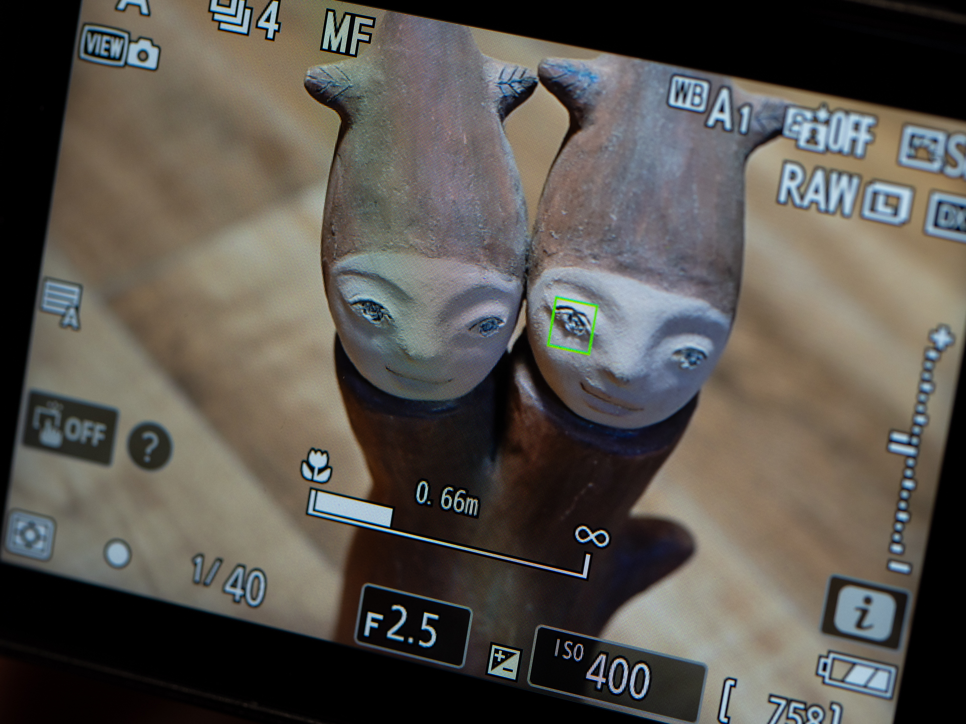 ニコンに限りませんが、筆者はミラーレスカメラ用のレンズのほとんどに距離指標がないことが不満でした。目測での距離数値設定ができず、広角レンズを使用するスナップ撮影などには不便だったからです。Z50IIではMF設定し、フォーカスリングを回すとLCDに表示の下部に距離バーが出現し、同時に距離数値が表示されます。数値の表示が小さいのは残念ですが、あらかじめ距離設定を設定し、撮影できますので、ありがたく感じています。