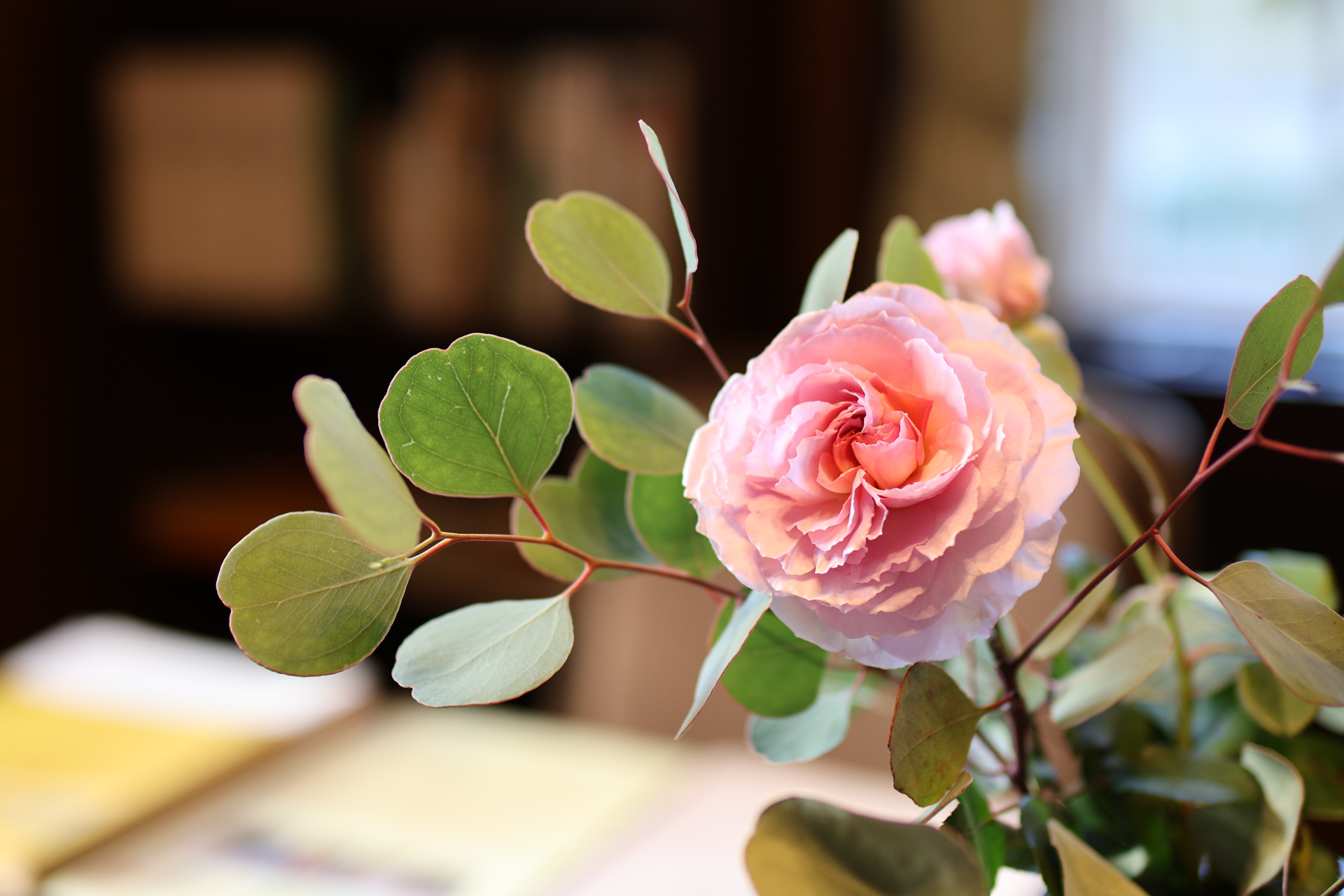 EOS R10／SIGMA 30mm F1.4 DC DN｜Contemporary／30mm（48mm相当）／絞り優先AE（1/60秒、F1.8、＋0.7EV）／ISO 125