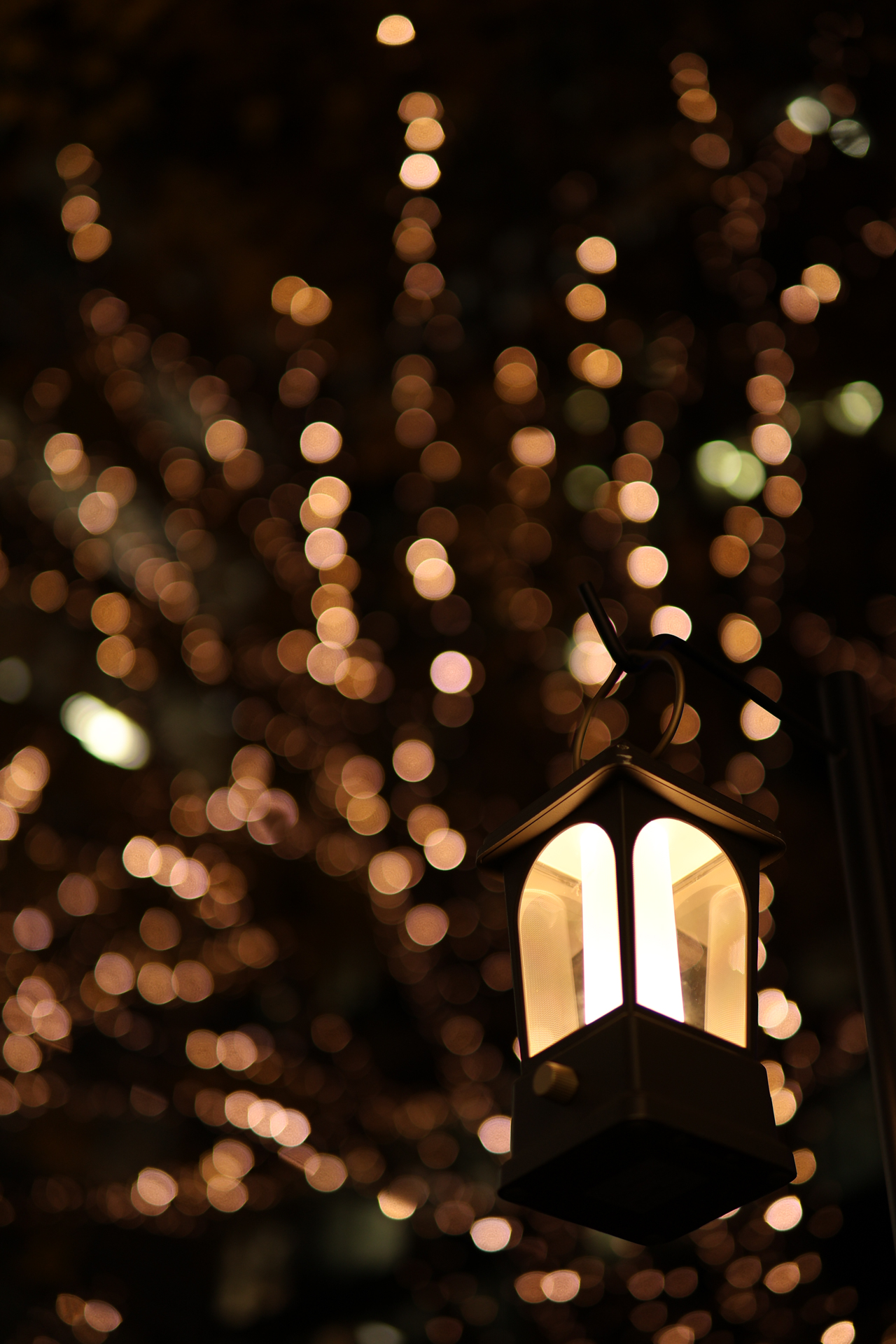 EOS R10／SIGMA 30mm F1.4 DC DN｜Contemporary／30mm（48mm相当）／絞り優先AE（1/125秒、F1.4、−0.3EV）／ISO 100