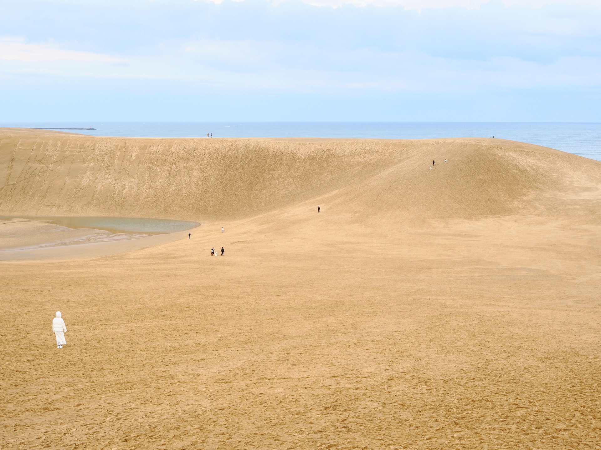風が強く、砂丘を越えて細かな砂粒が吹きつけてくるが、OM-3の強力な防塵・防滴性能のおかげで細かな砂粒を気にすることなく撮影に集中できた。このカメラは自然と向き合うフォトグラファーの武器であり、過酷な環境でもその瞬間を逃さない頼れる相棒だ<br><span class="fnt-85">M.ZUIKO DIGITAL ED 12-45mm F4.0 PRO／26mm（52mm相当）／マニュアル露出（F8、1/60秒）／ISO 200／WB：オート</span>