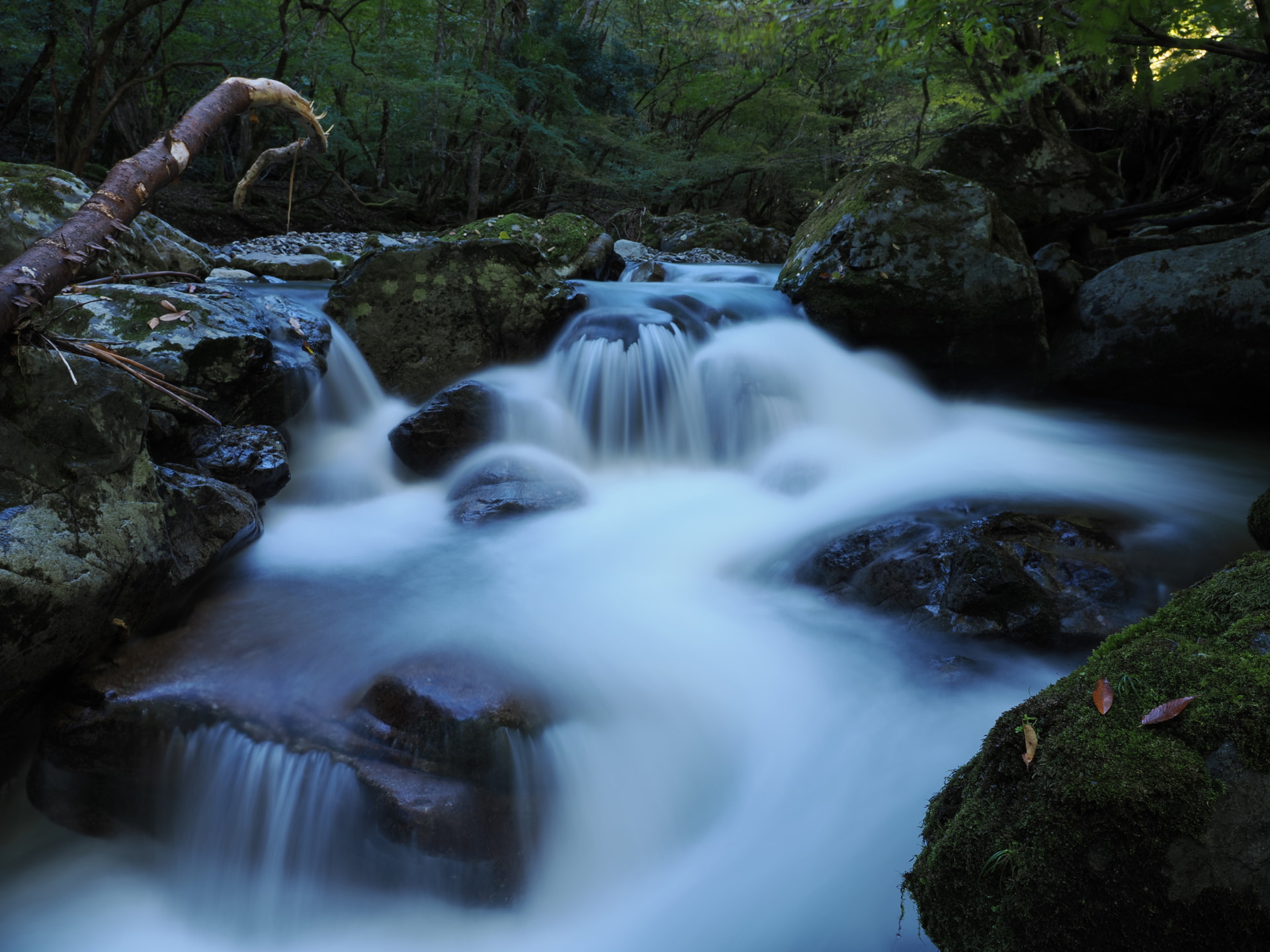 OM-3にはライブND機能が搭載されている。通常、水の流れを滑らかに写し撮るには外付けフィルターが必要になるが、ボタン操作だけでND2～ND64の効果がカメラ内で得られる。足場の悪い場所でもフィルター交換を必要としないので瞬時に思いのままの表現が可能になる<br><span class="fnt-85">M.ZUIKO DIGITAL ED 12-45mm F4.0 PRO／12mm（24mm相当）／マニュアル露出（F8、6秒）／ISO 200／WB：オート／ライブND（ND8）</span>