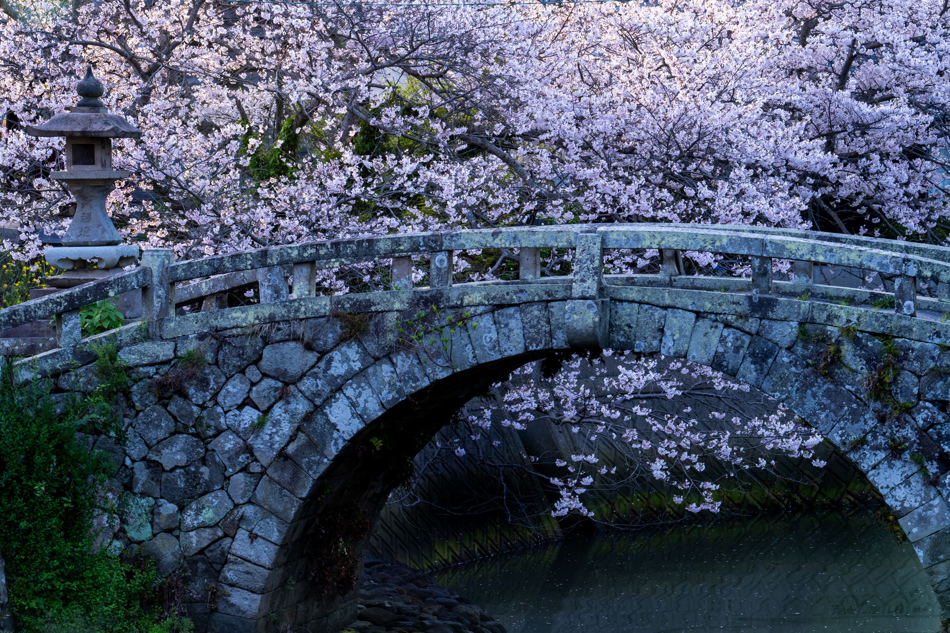 歴史ある古い石橋と桜の美しいコラボレーション。桜の後ろには沈みゆく太陽があり、透過光によって桜の花びらが輝きを放っている。明暗のコントラストが強くなったため、バランサーを使用して光のバランスを整えながら撮影を行った<br><span class="fnt-85">ソニー α7R V／FE 70-200mm F2.8 GM OSS II／151mm／マニュアル露出（F16、1/10秒）／ISO 50／WB：太陽光</span>