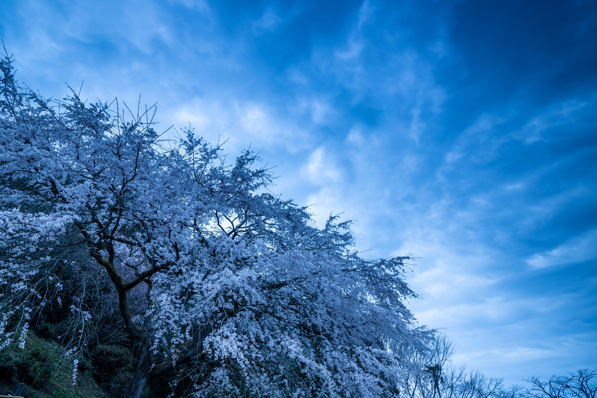 <span class="fnt-85">ソニー α7R IV／FE 16-35mm F2.8 GM／17mm／マニュアル露出（F13、3.2秒）／ISO 160／WB：太陽光</span>