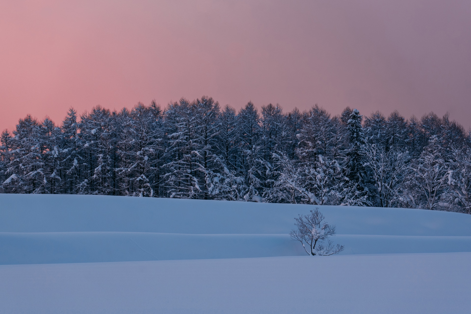 三脚を置く場所がなく手持ちで撮影。－17℃まで冷え込んだため厚手の手袋をしていたが、ライカSL3-Sのダイヤルやボタン配置は計算されていてスムーズに設定変更でき、朝の光を逃さずに写せた<br><span class="fnt-85">ライカSL3-S／ライカ バリオ・エルマーSL f5-6.3/100-400mm／141mm／マニュアル露出（F8、1/250秒）／ISO 1000／WB：曇天</span>