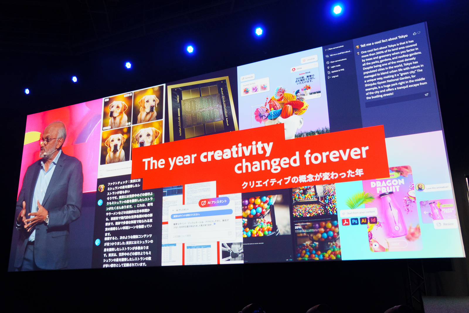 2024年は1年を通してクリエイティブの概念が変化を遂げた