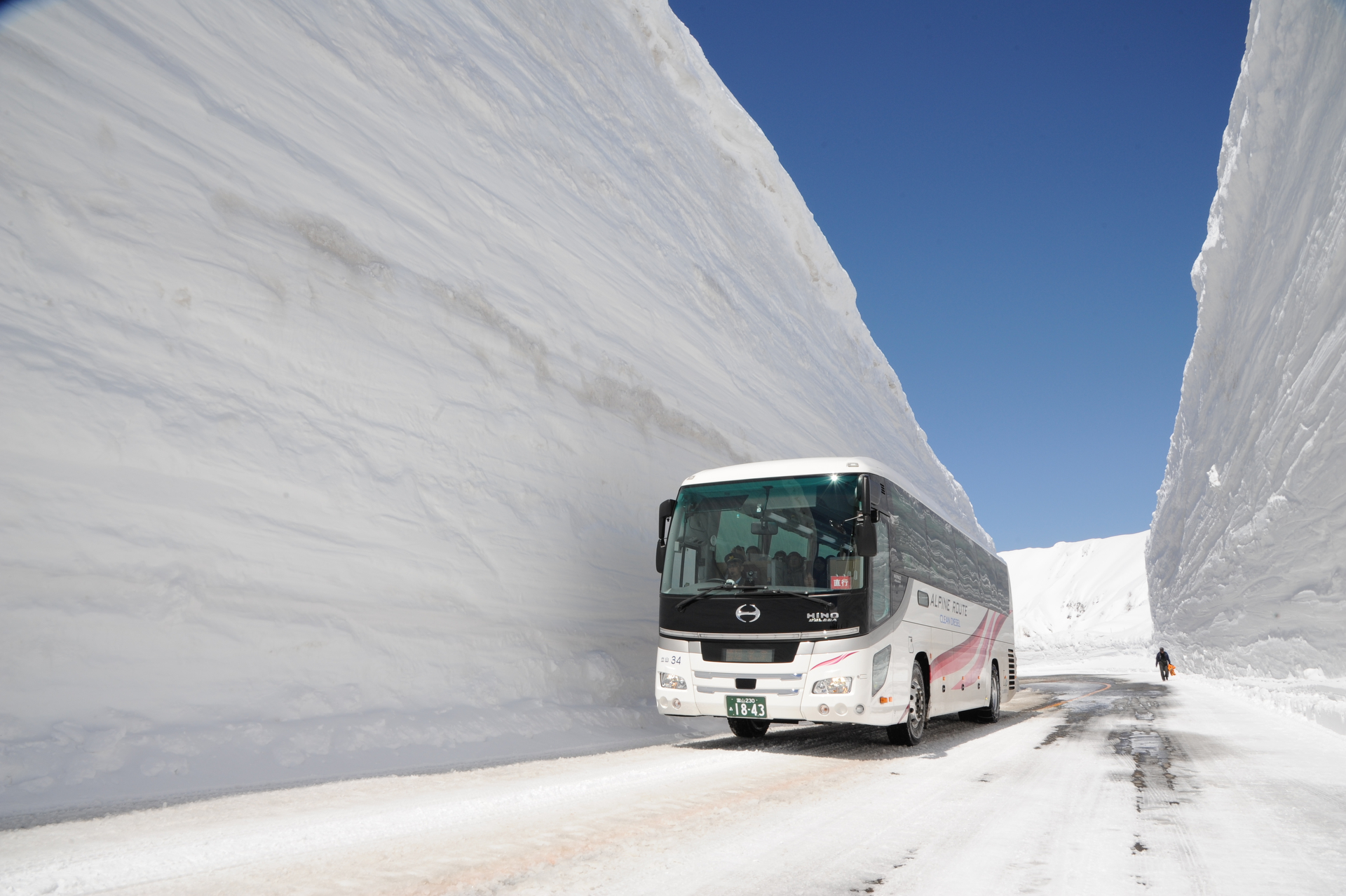 巨大な雪の壁「大谷エリア」