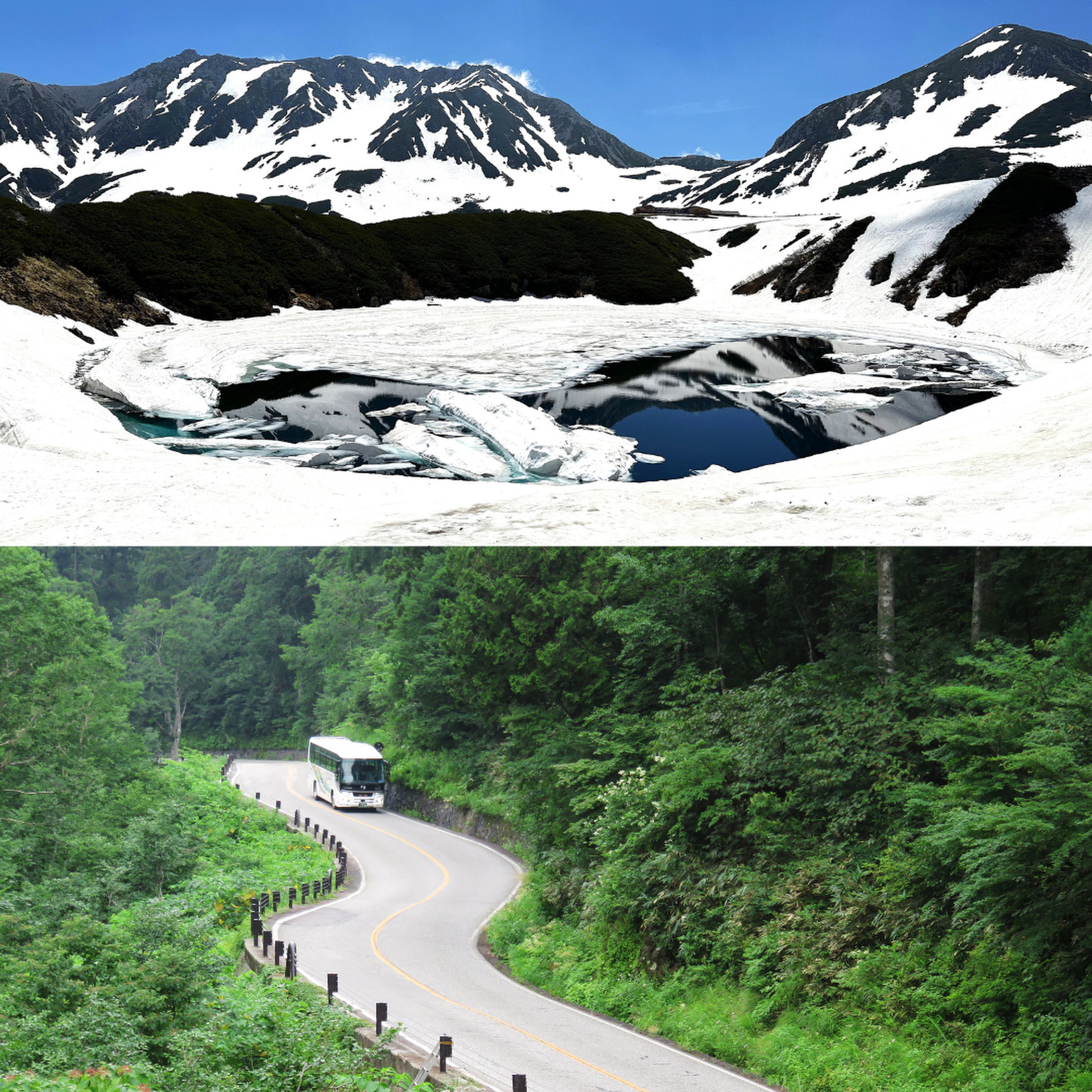 6月は標高により雪と新緑が楽しめる。（上）室堂平・みくりが池、（下）立山高原バス道路・桑谷周辺