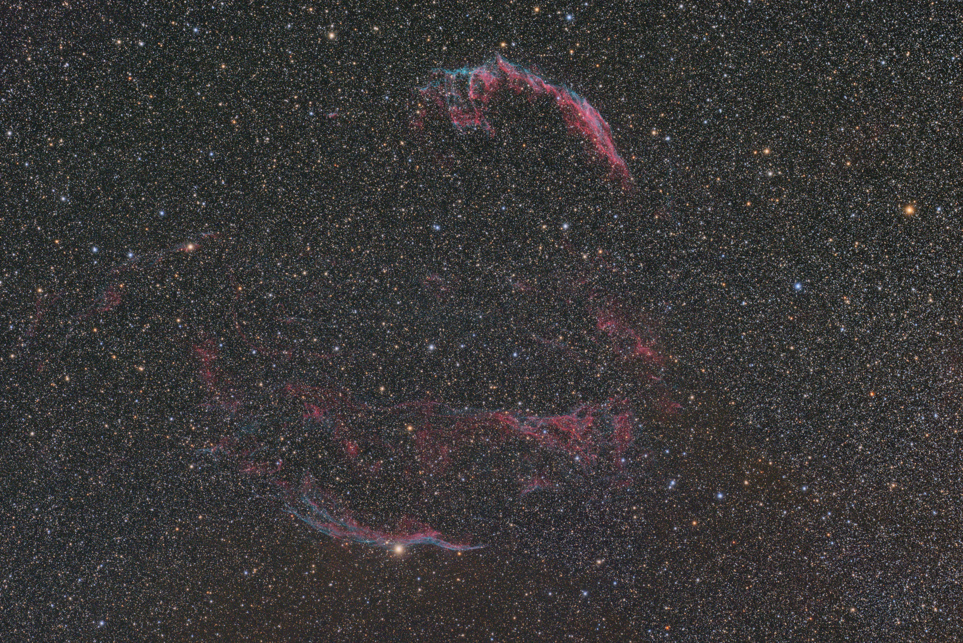 SQA55で撮影した網状星雲（撮影：k.watanabe／株式会社サイトロンジャパン）