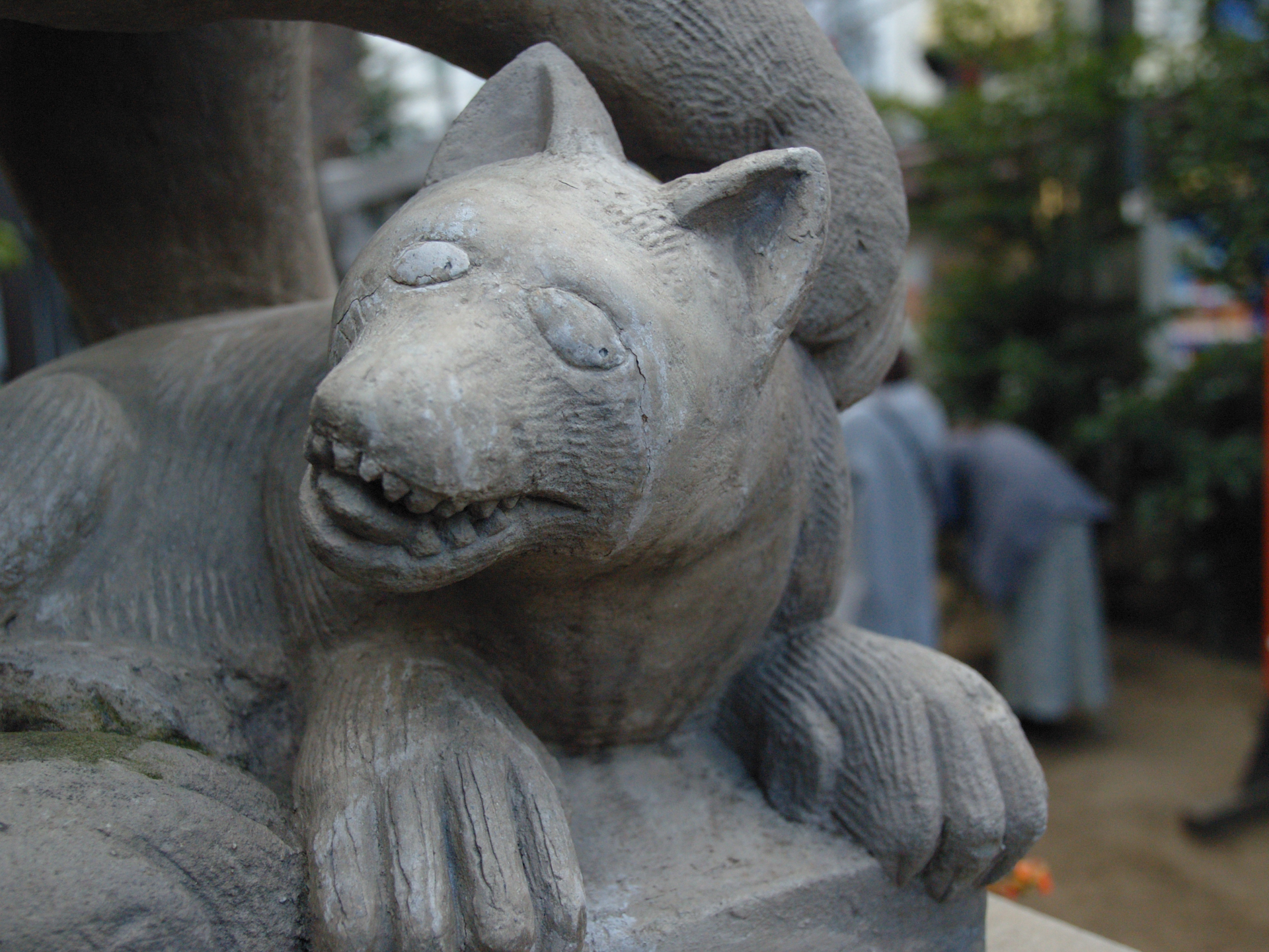 焦点距離的に、ボケ味云々をいうレンズではありませんが、とても自然ですね。ディテールの再現も好みです。小さいレンズではないのに使用頻度が高いのです。<br><span class="fnt-85">オリンパス E-500／ZUIKO DIGITAL 11-22mm F2.8-3.5／20mm（40mm相当）／絞り優先AE（1/500秒、F3.5、−0.3EV）／ISO 400</span>