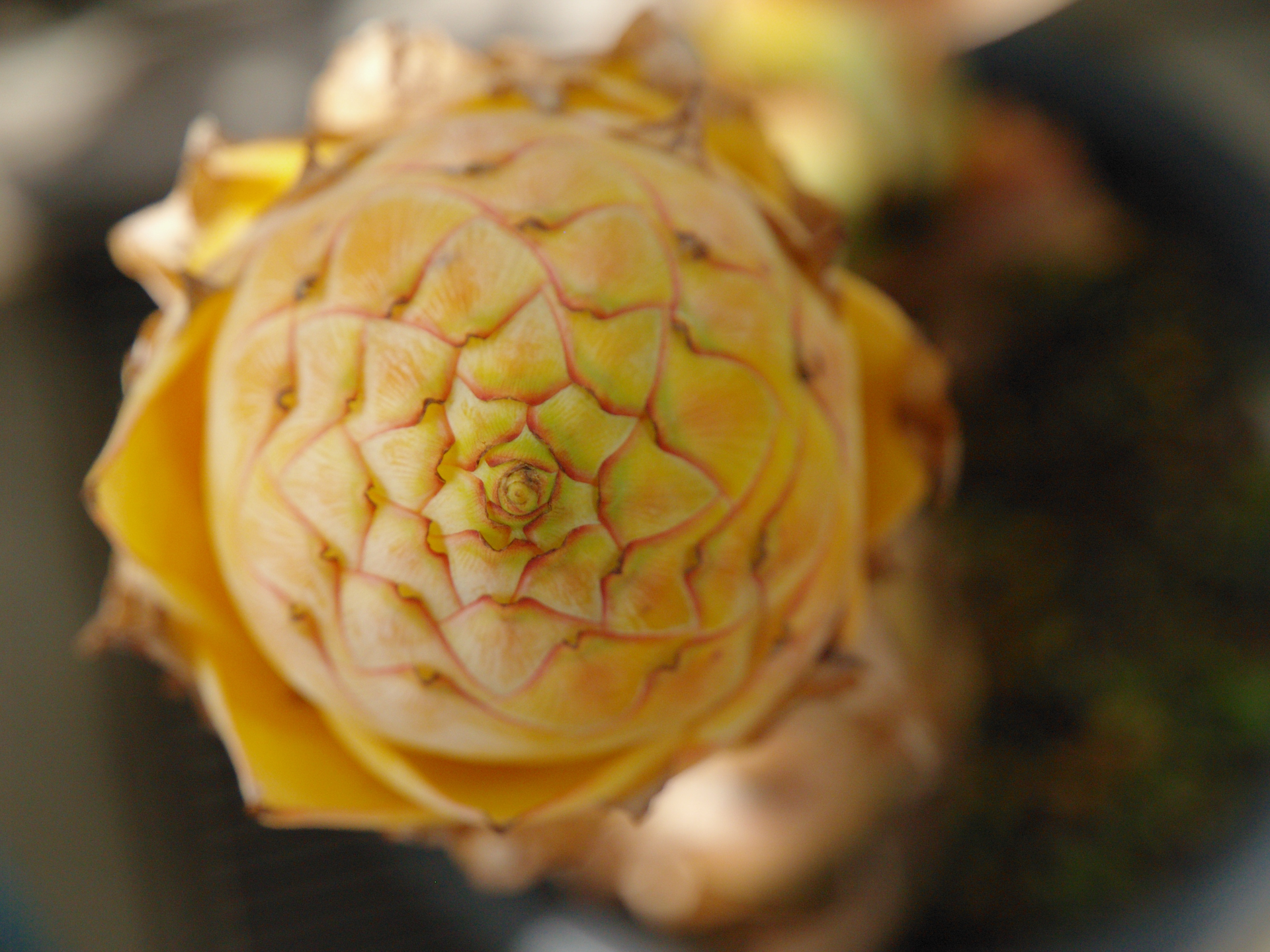 E-500のAF性能は静止している被写体ならば、現代一眼レフカメラと大きな隔たりはないかと。ミラーレスとの差異もあまり感じないです。<br><span class="fnt-85">オリンパス E-500／ZUIKO DIGITAL ED 12-60mm F2.8-4.0 SWD／60mm（120mm相当）／絞り優先AE（1/320秒、F4.0、±0.0EV）／ISO 400</span>