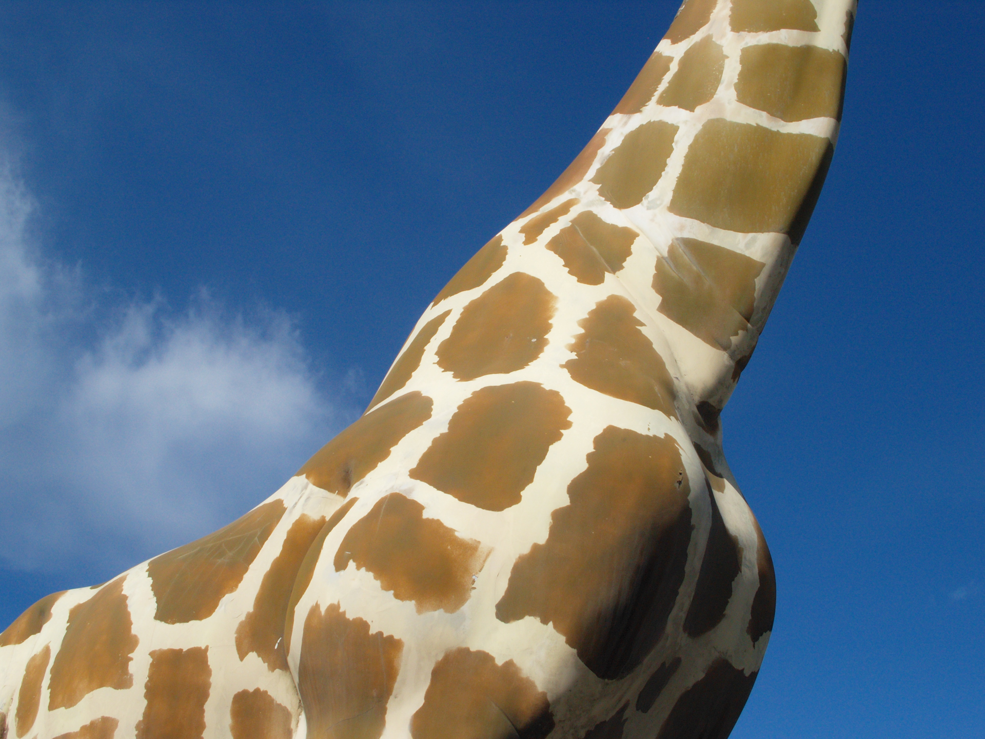 青空が少しノイジーなのは、画素数が少ないから？ 特性？ 問題はないのですが。<br><span class="fnt-85">オリンパス E-500／ZUIKO DIGITAL 25mm F2.8／25mm（50mm相当）／絞り優先AE（1/2,000秒、F8.0、−0.7EV）／ISO 400</span>