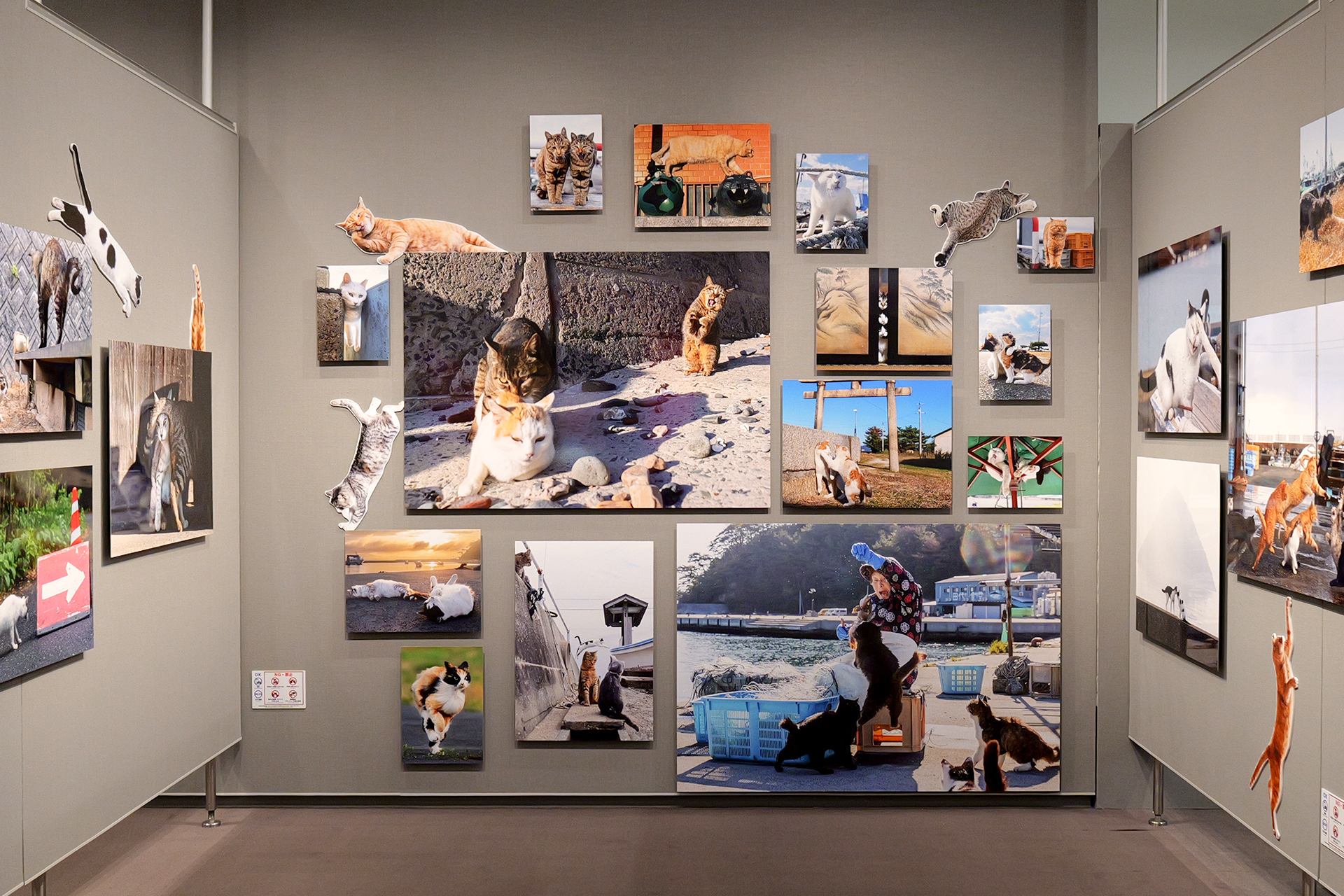 床近くに配置された右下の写真の横幅は約1,500mm。従来の「目線の高さに並べる」という写真展の常識を覆す試みが随所に見られる