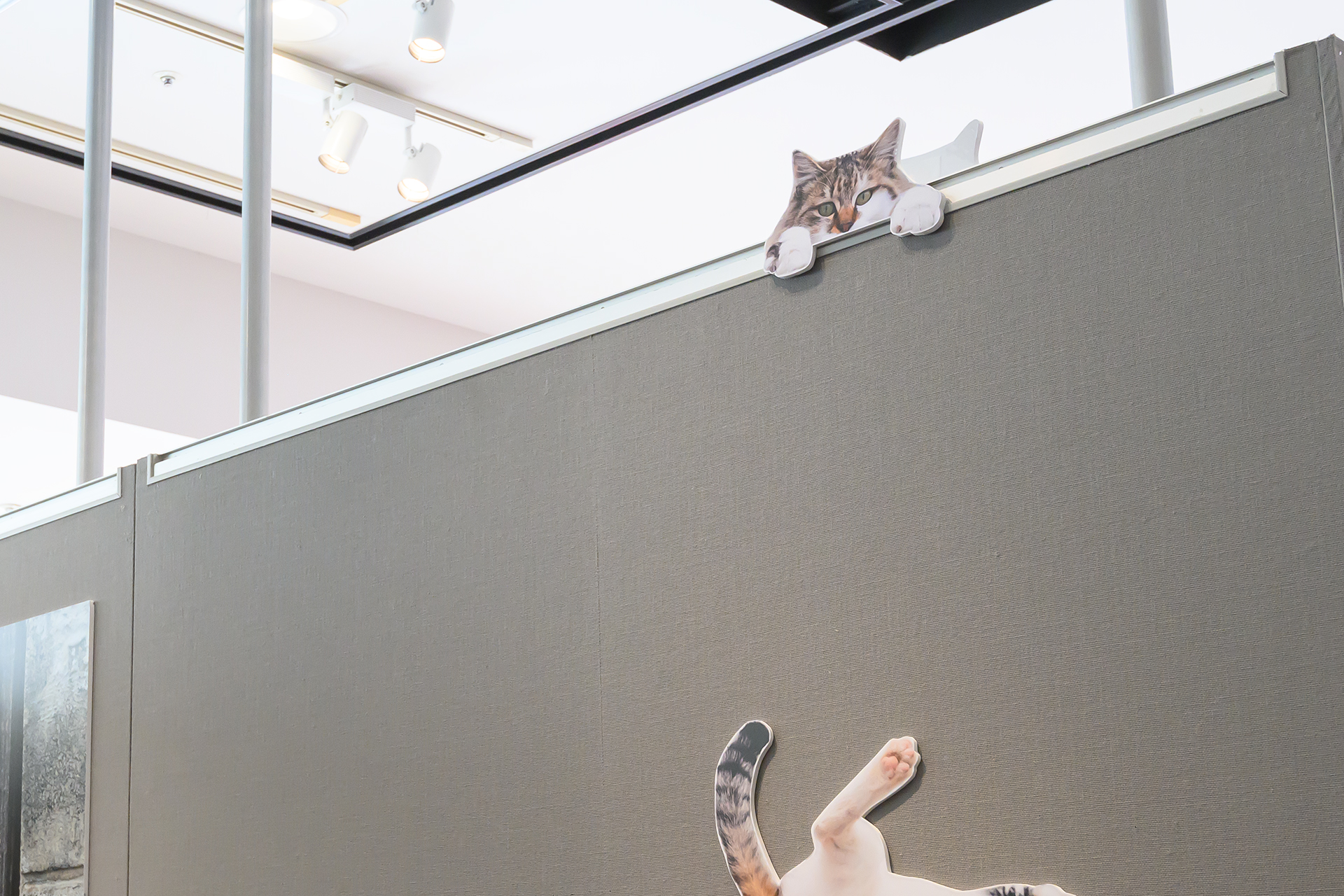 会場のいたるところに立体パネルが