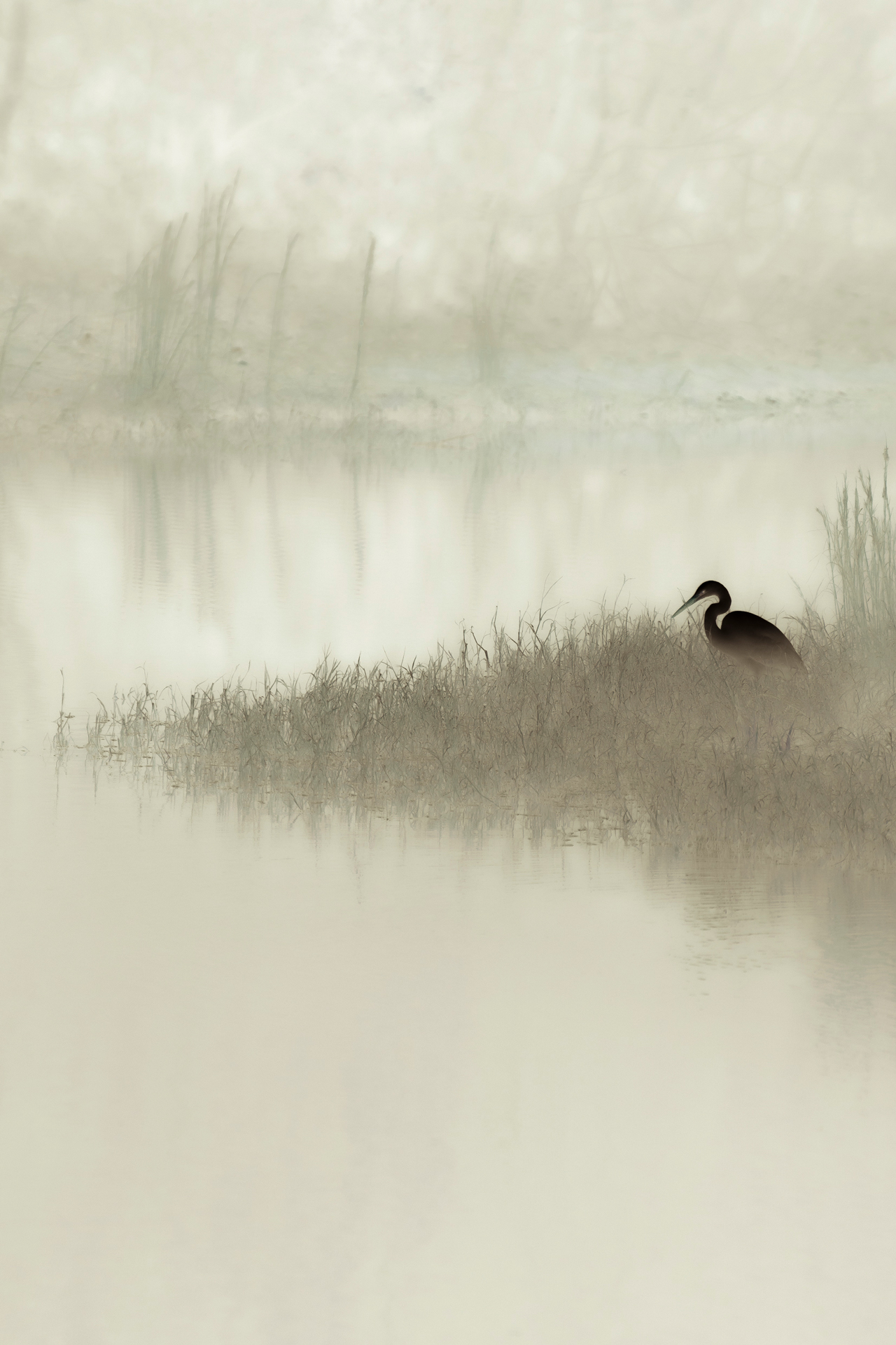 準グランプリ受賞作品「寂として」（竹腰隼人さん）より