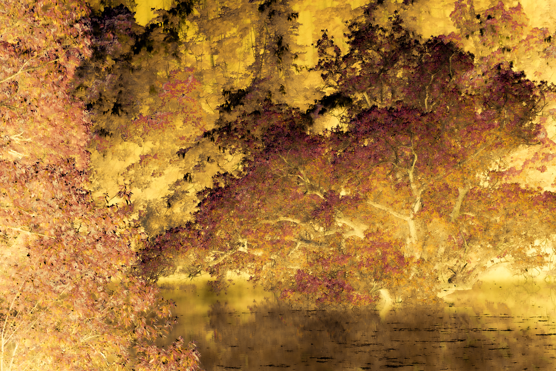 準グランプリ受賞作品「寂として」（竹腰隼人さん）より