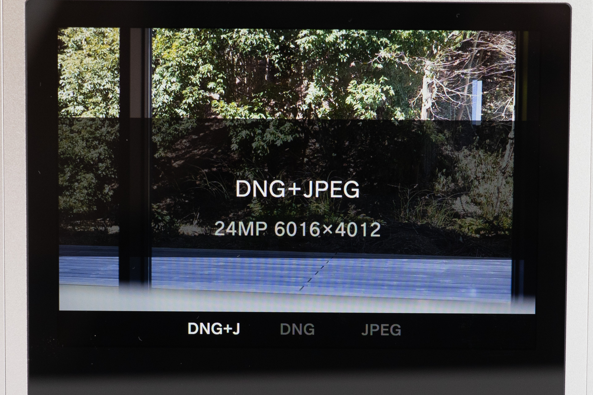 DNG記録にも対応する