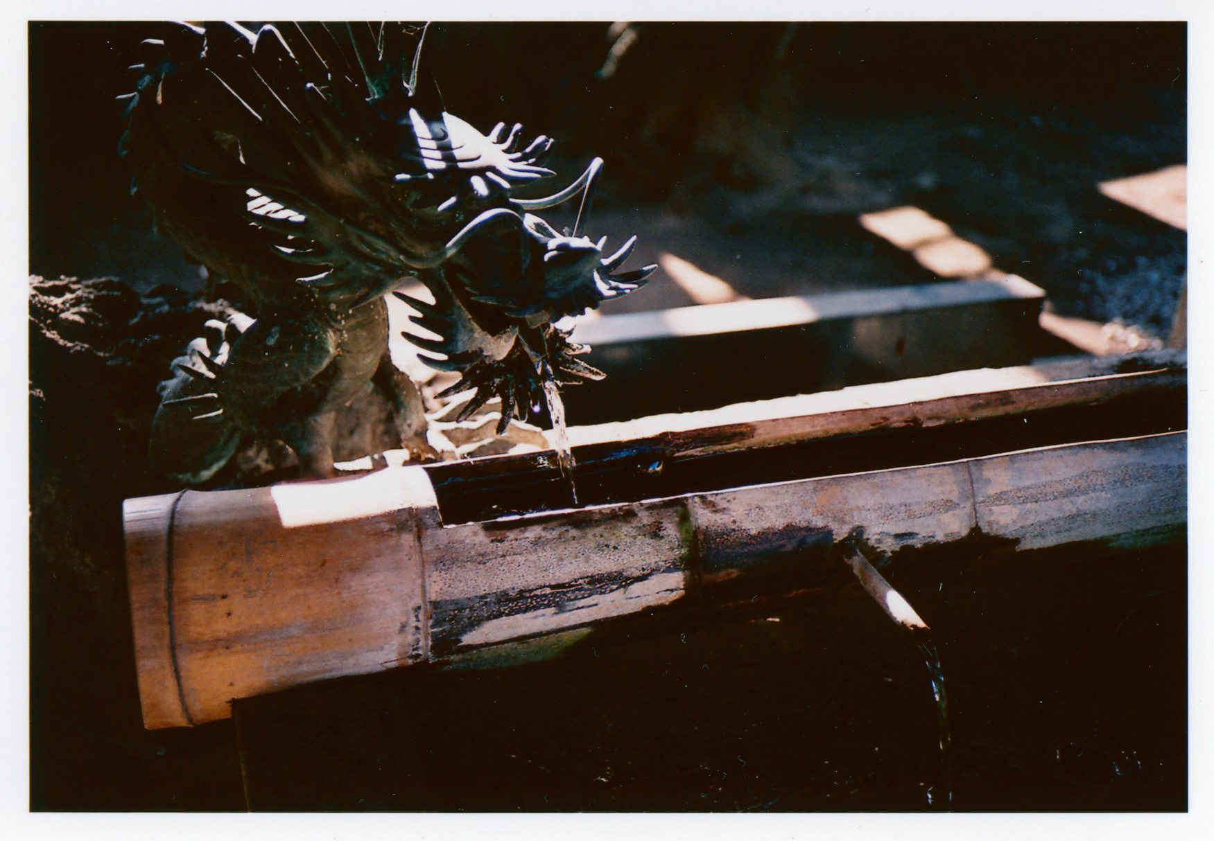 Rollei 35AF／撮影モード：絞り優先AE（F2.8）／露出補正：±0EV／フィルム：フジカラー SUPERIA PREMIUM 400