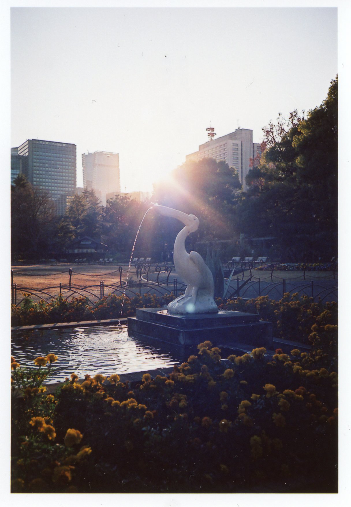 Rollei 35AF／撮影モード：絞り優先AE（F4.0）／露出補正：＋1.0EV／フィルム：フジカラー SUPERIA PREMIUM 400