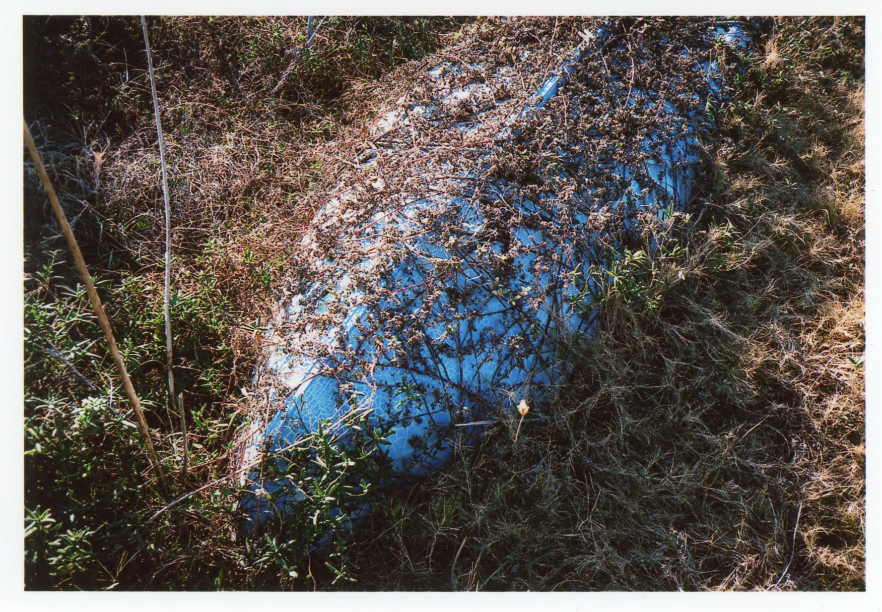 Rollei 35AF／撮影モード：絞り優先AE（F5.6）／露出補正：＋1.0EV／フィルム：フジカラー SUPERIA PREMIUM 400