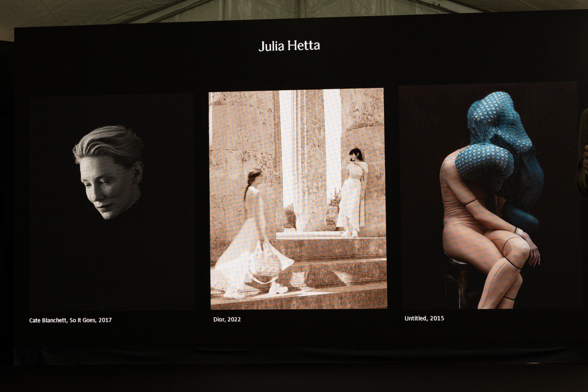 ジュリア・ヘッタ氏の作品