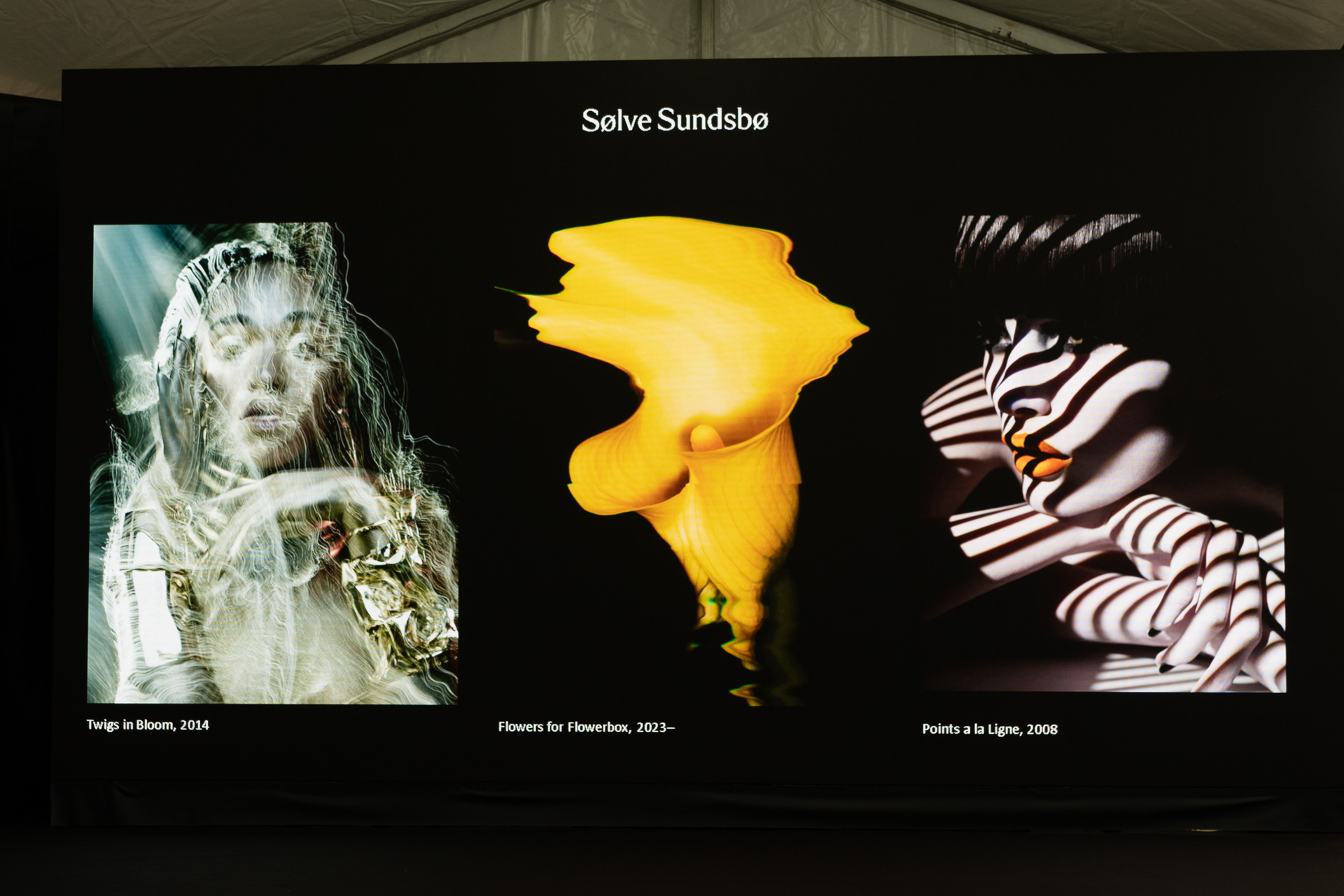 ソルヴェ・スンズボ氏の作品