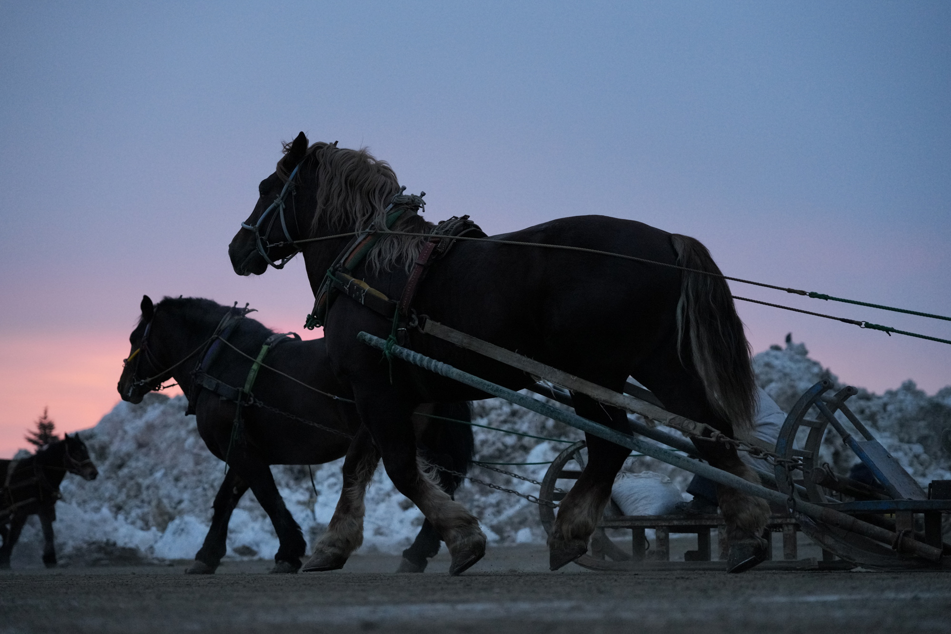 ソニー α7RV／SIGMA 28-105mm F2.8 DG DN | Art／絞り優先AE（F3.5、1/2,500秒、−1.7EV）／ISO 2500　撮影：近井