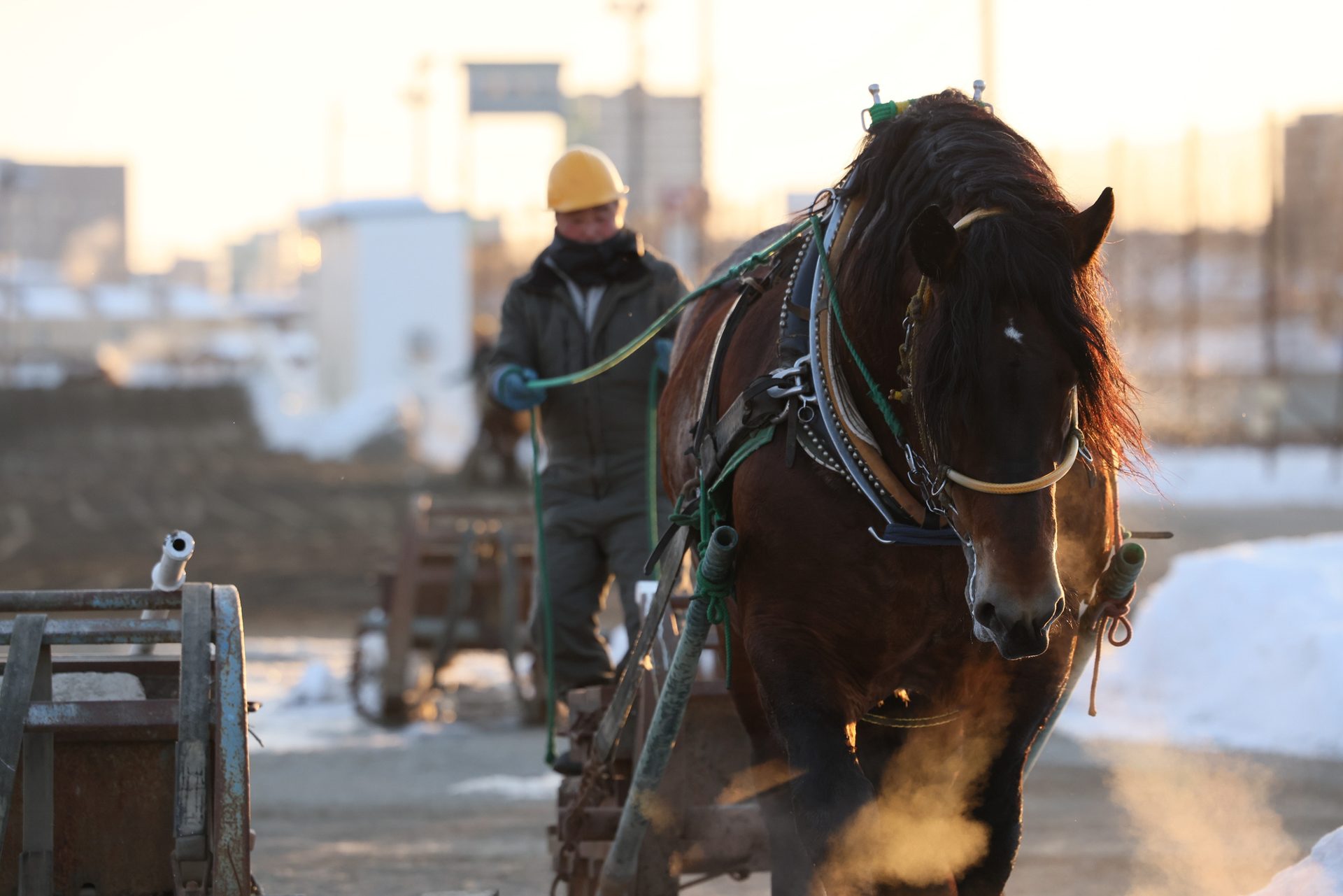 日が上がり時刻は6時50分。　キヤノン EOS R5／RF70-200mm F2.8 L IS USM／絞り優先AE（F4、1/2,000秒、＋1EV）／ISO 1600