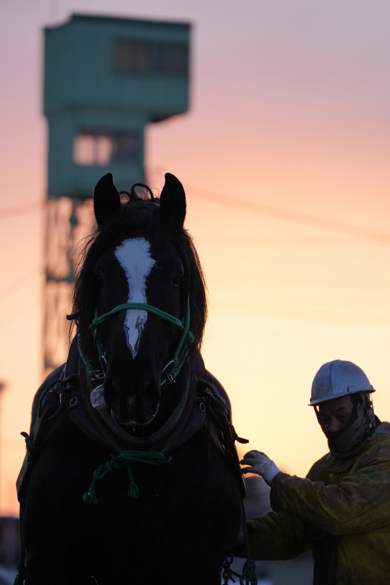 ソニー α1／FE 70-200mm F2.8 GM OSS II／絞り優先AE（F4.5、1/5,000秒）／ISO 1600　撮影：近井