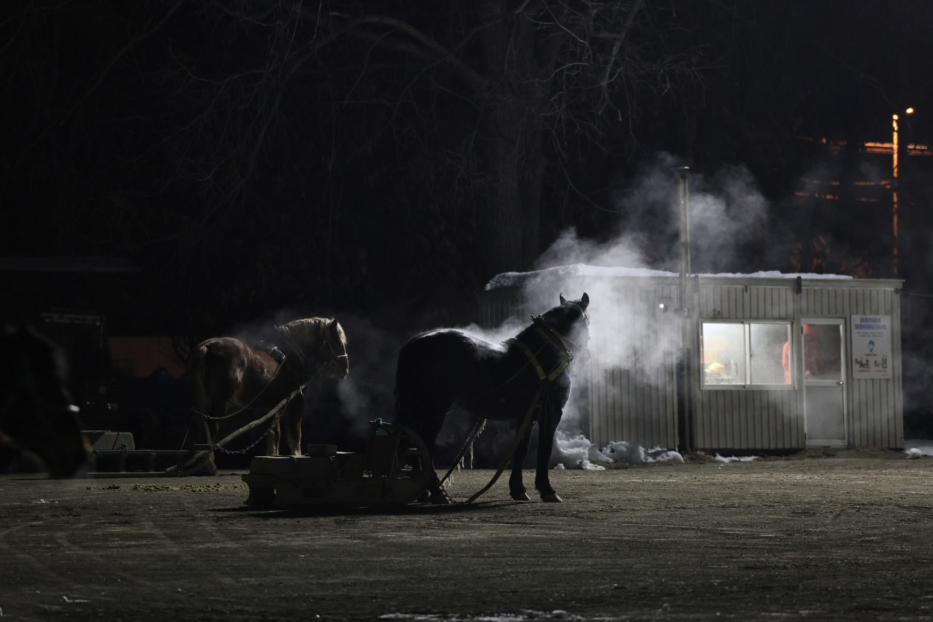 [キャプション] キヤノンEOS R6 Mark II／RF70-200mm F2.8 L IS USM／絞り優先AE（F3.2、1/50秒、−1EV）／ISO 3200