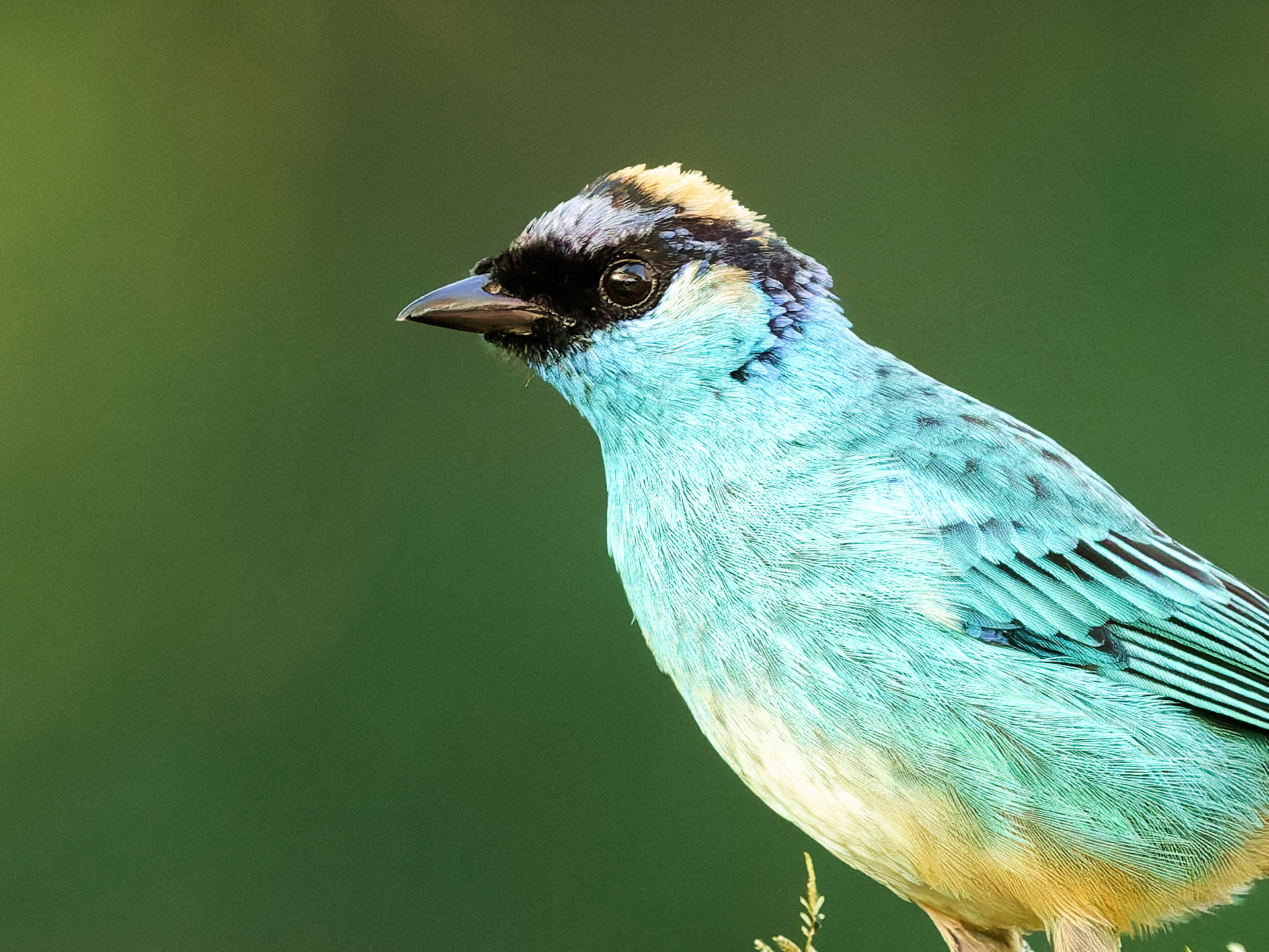 左が適用前、右が適用後