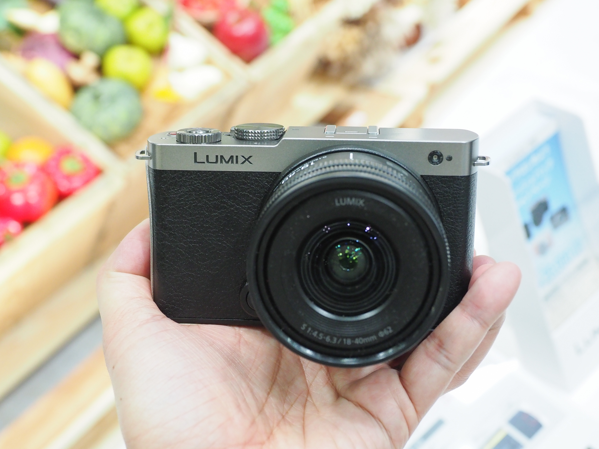 LUMIX S9