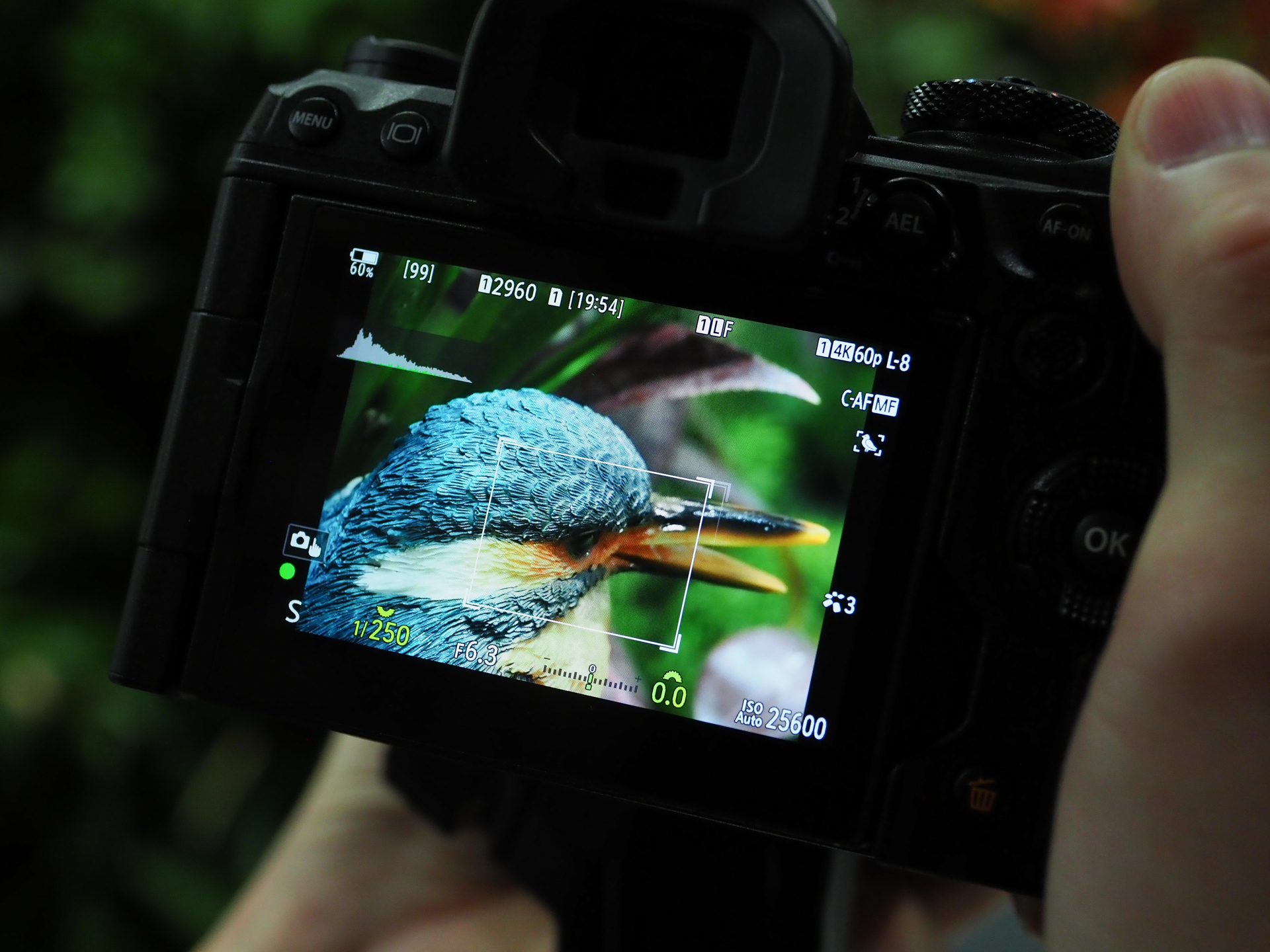 体験コーナーでは野鳥撮影を疑似体験できる