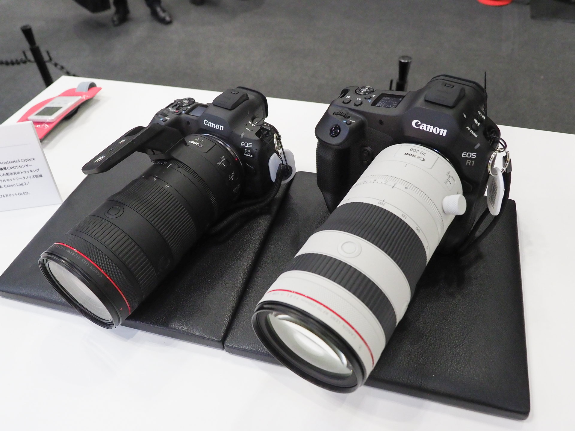 2024年に登場した「EOS R1」と「EOS R5 Mark II」。CP+で展示されるのは初