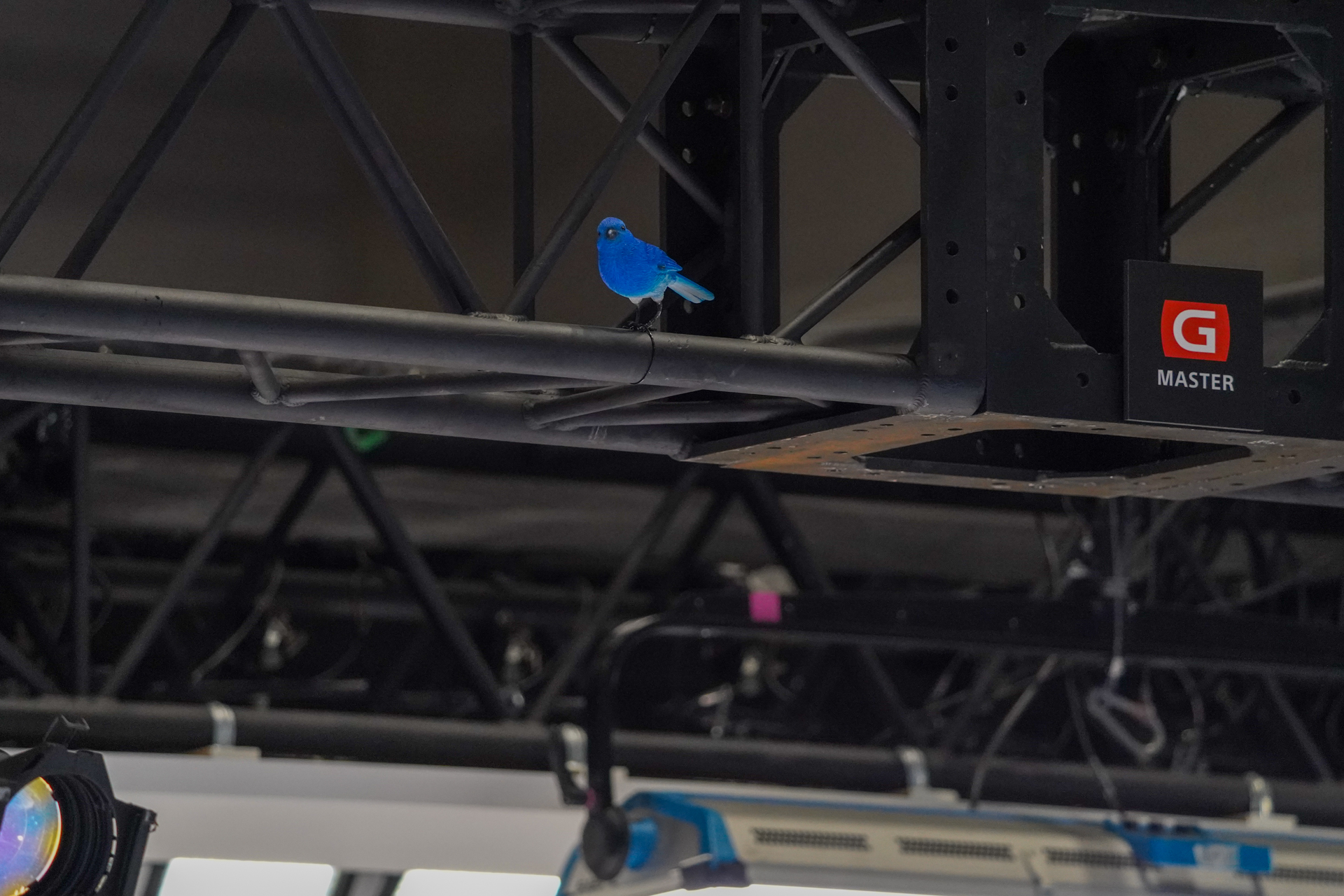 よく見るとルリビタキと思われる小鳥の模型が。いわれないとわからないかも