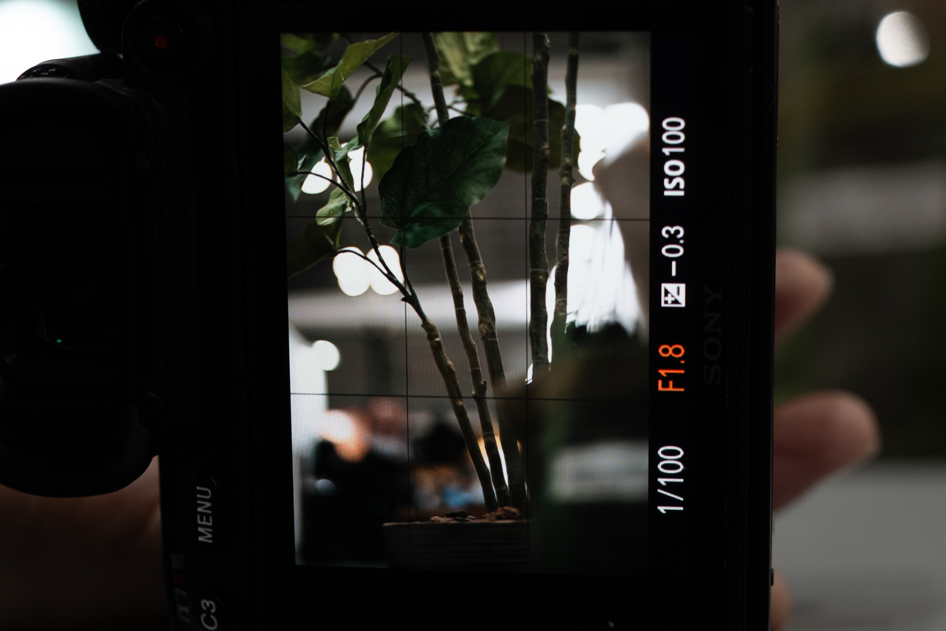 球面収差補正のリングを中央に。ベースのHELIAR classic 75mm F1.8に最も近い状態