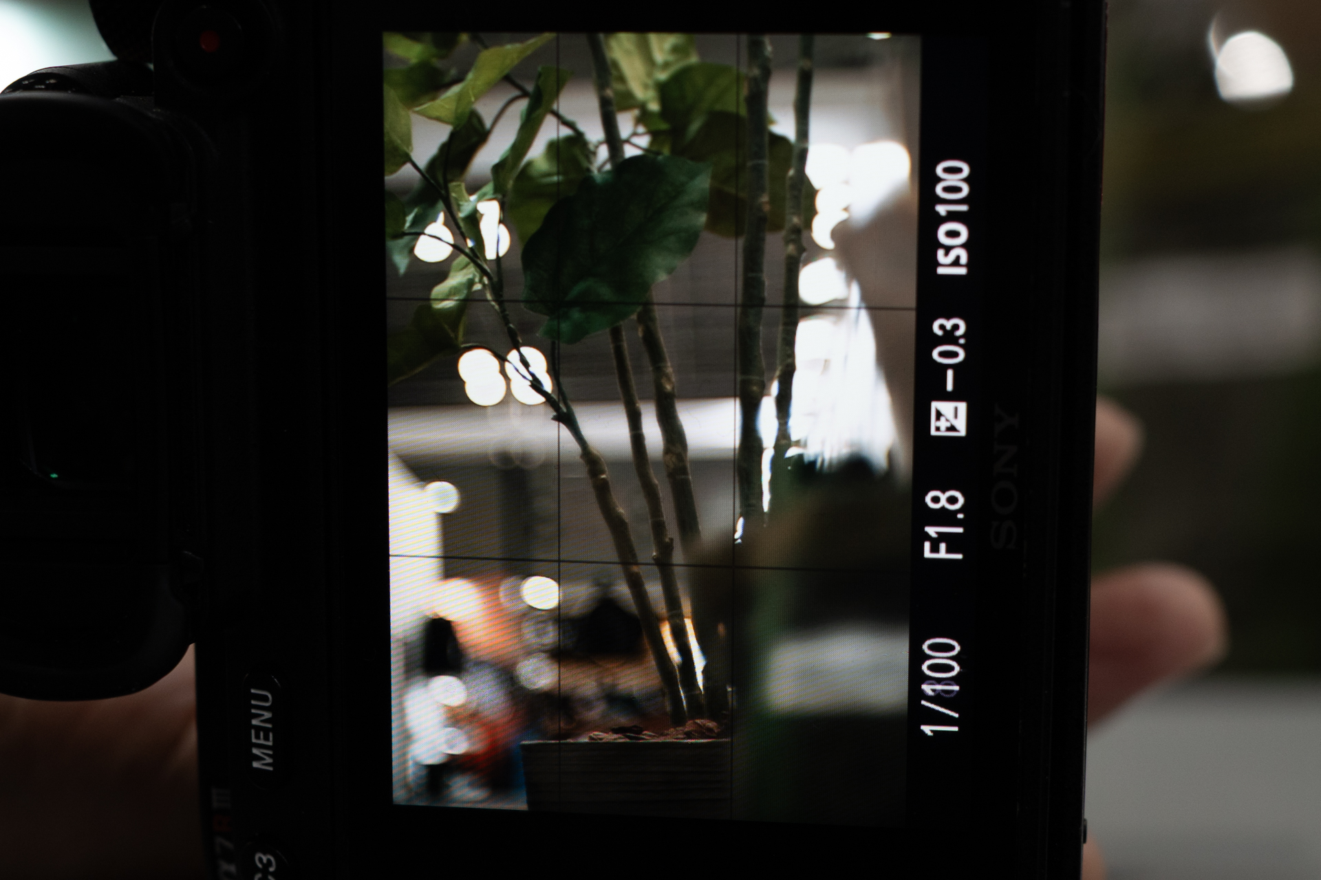 「over」側に回しきったところ。後ボケに輪郭が見える