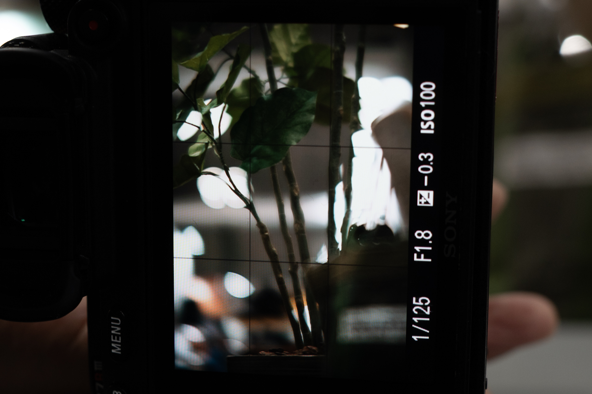 「under」側ではソフトフォーカスのような描写に