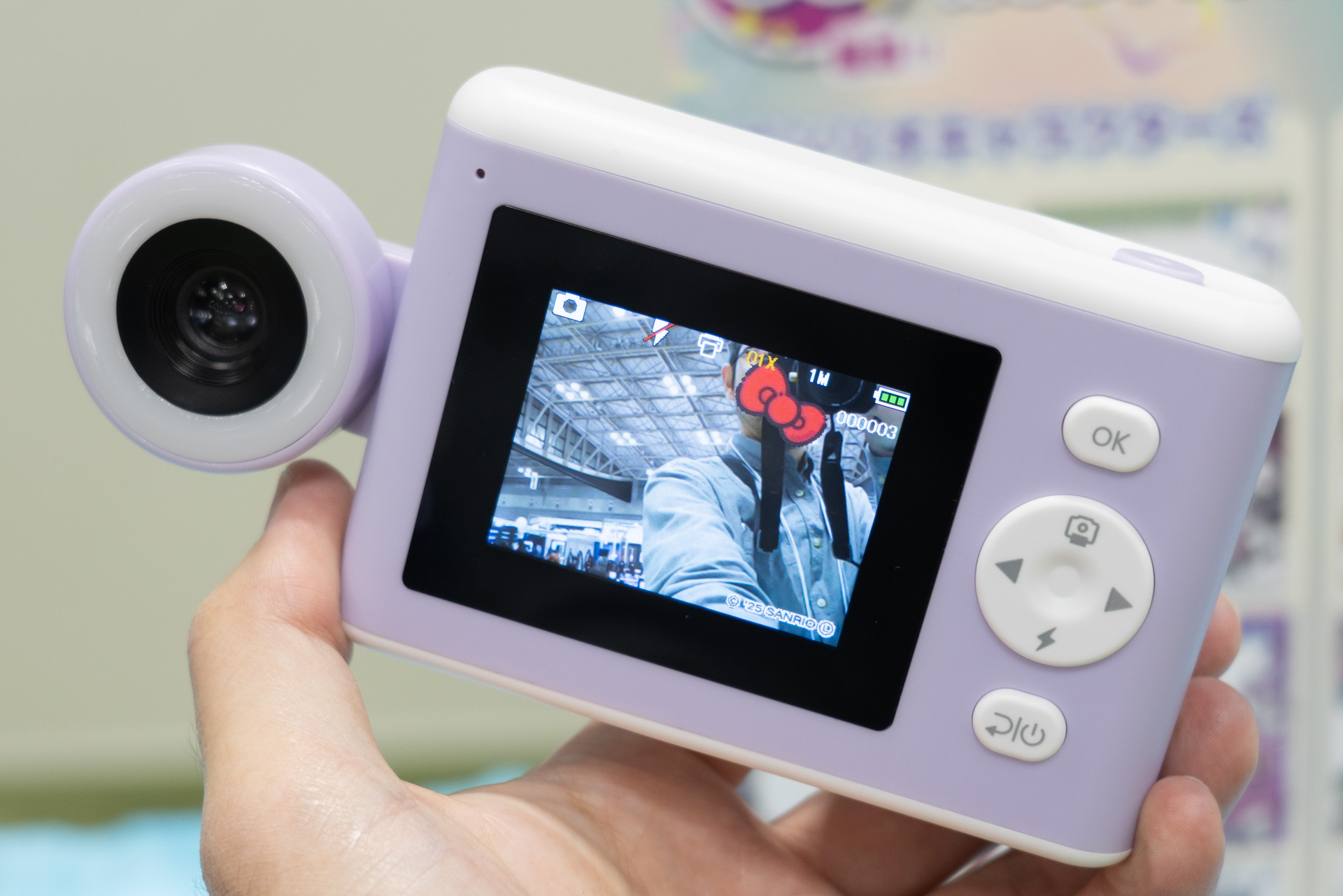 背面から見たところ