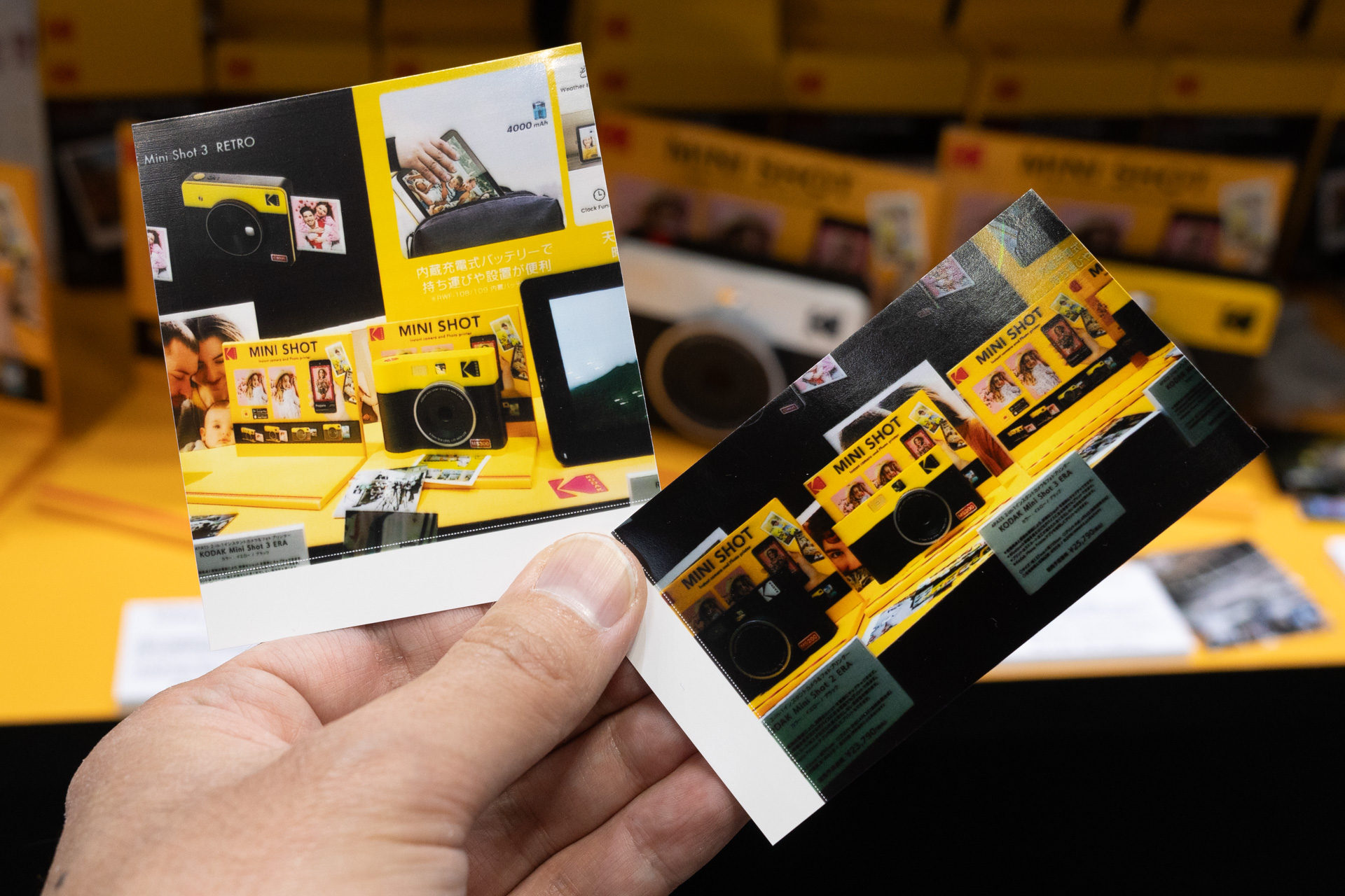 プリントサンプル