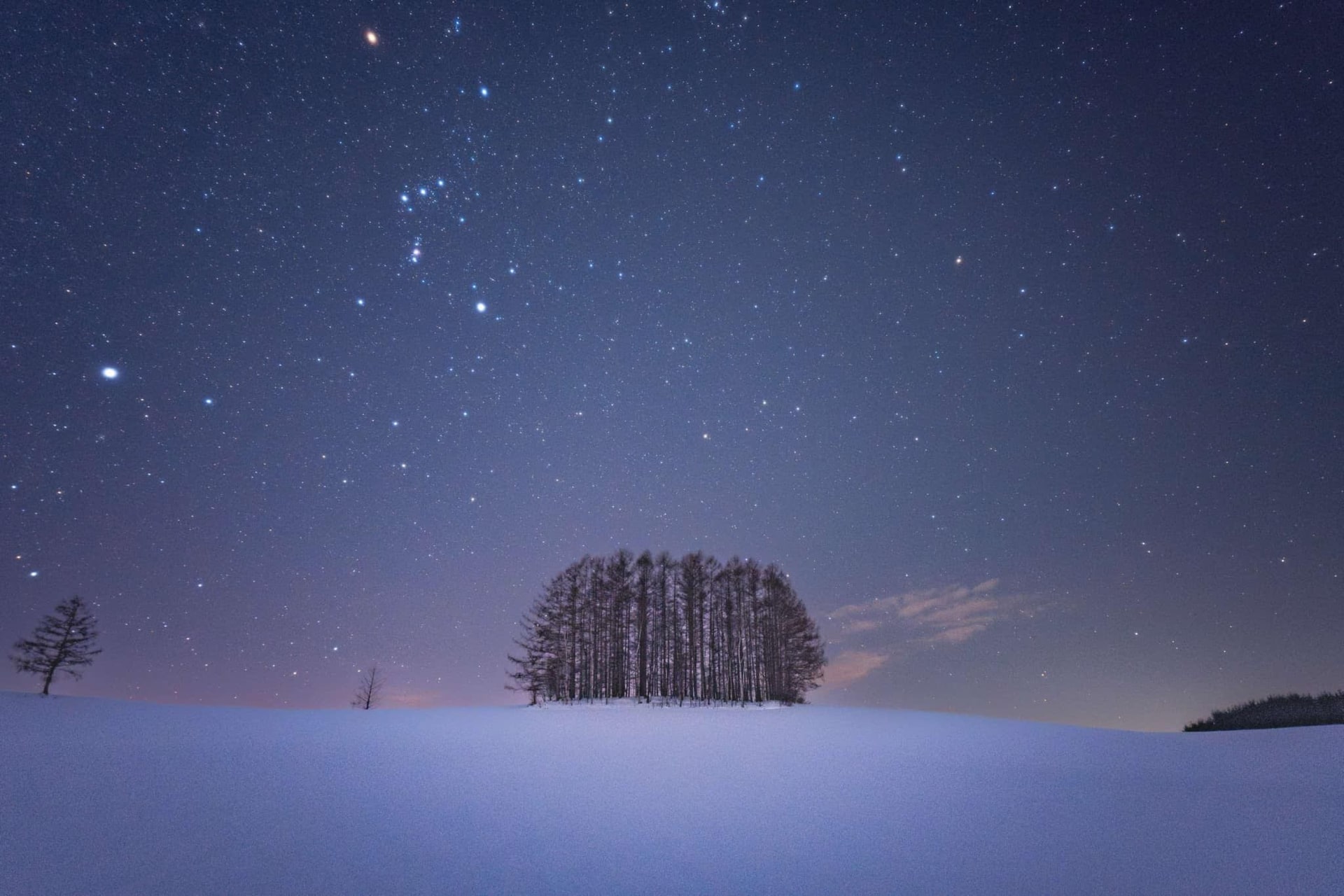 撮影イメージ（提供：ロカユニバーサルデザイン株式会社）