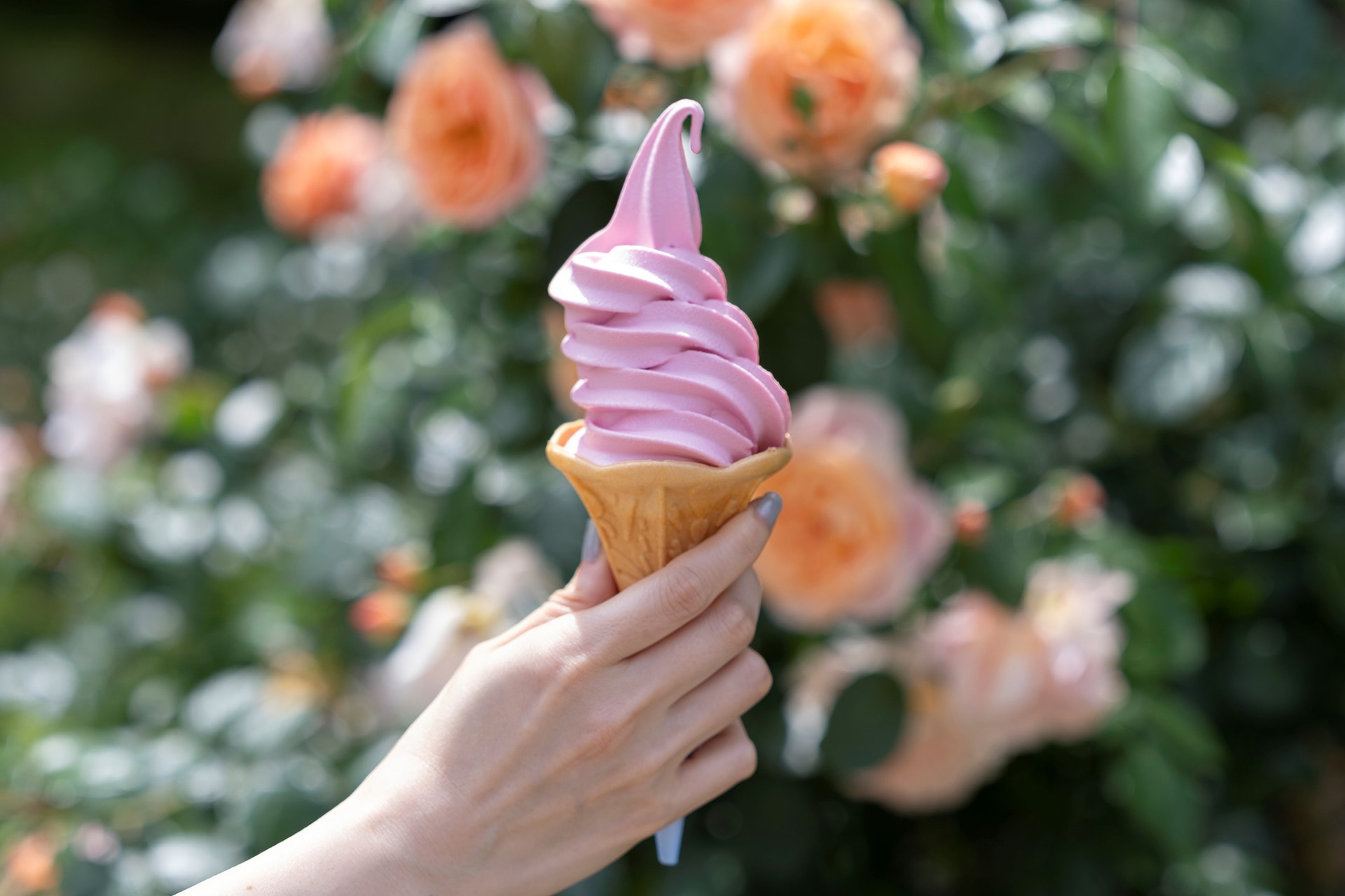 ローズソフト（400円）