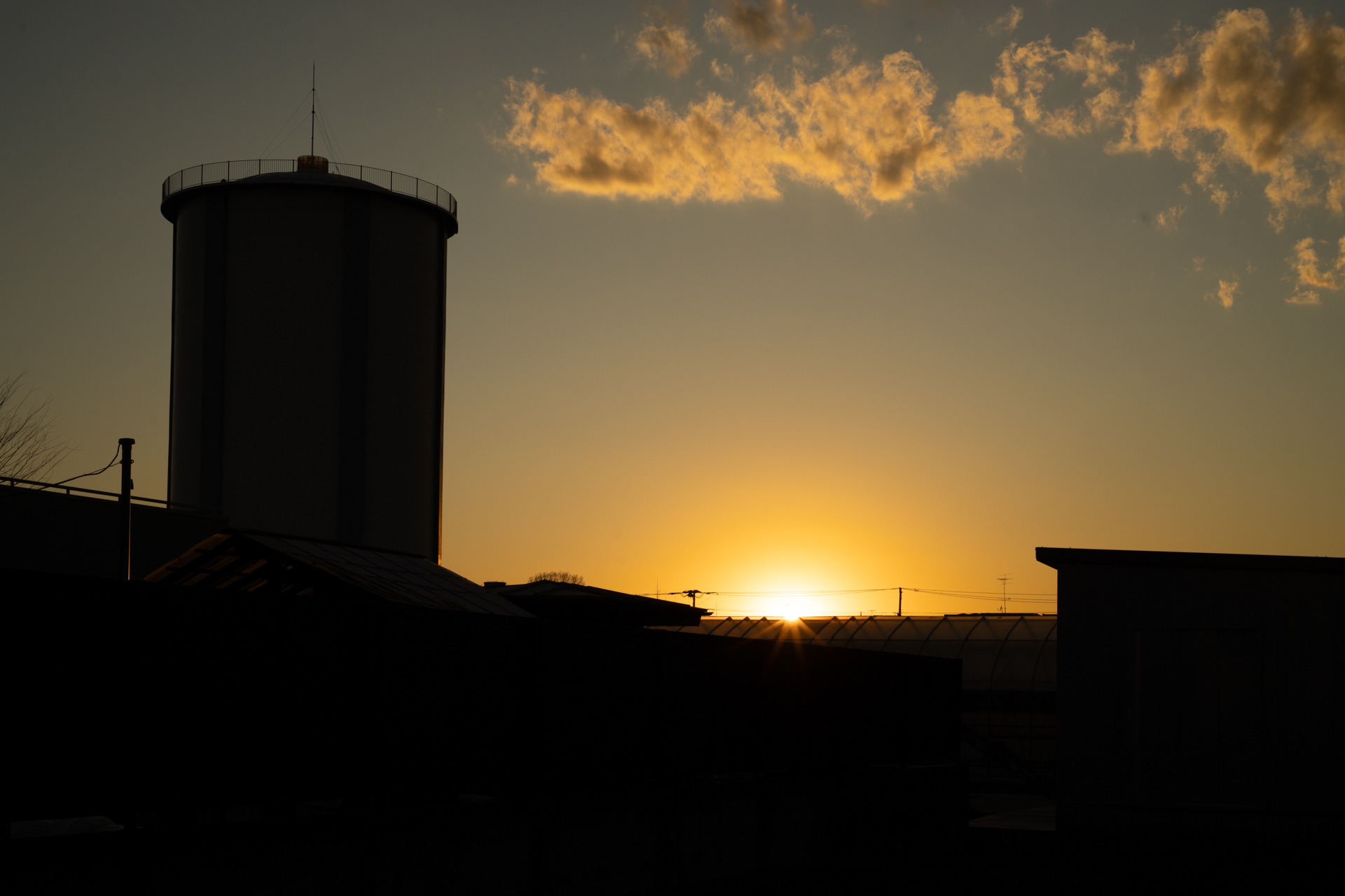 いまさらT*コーティングについてあれこれ論評する必要はありませんが、構成枚数が多いですから、ここはしっかりと逆光時にも対応していることを証明してみました。<br><span class="fnt-85">ソニー α7CR／ZEISS Otus ML 1.4/50／50mm／絞り優先AE（1/500秒、F11、±0.0EV）／ISO 200</span>