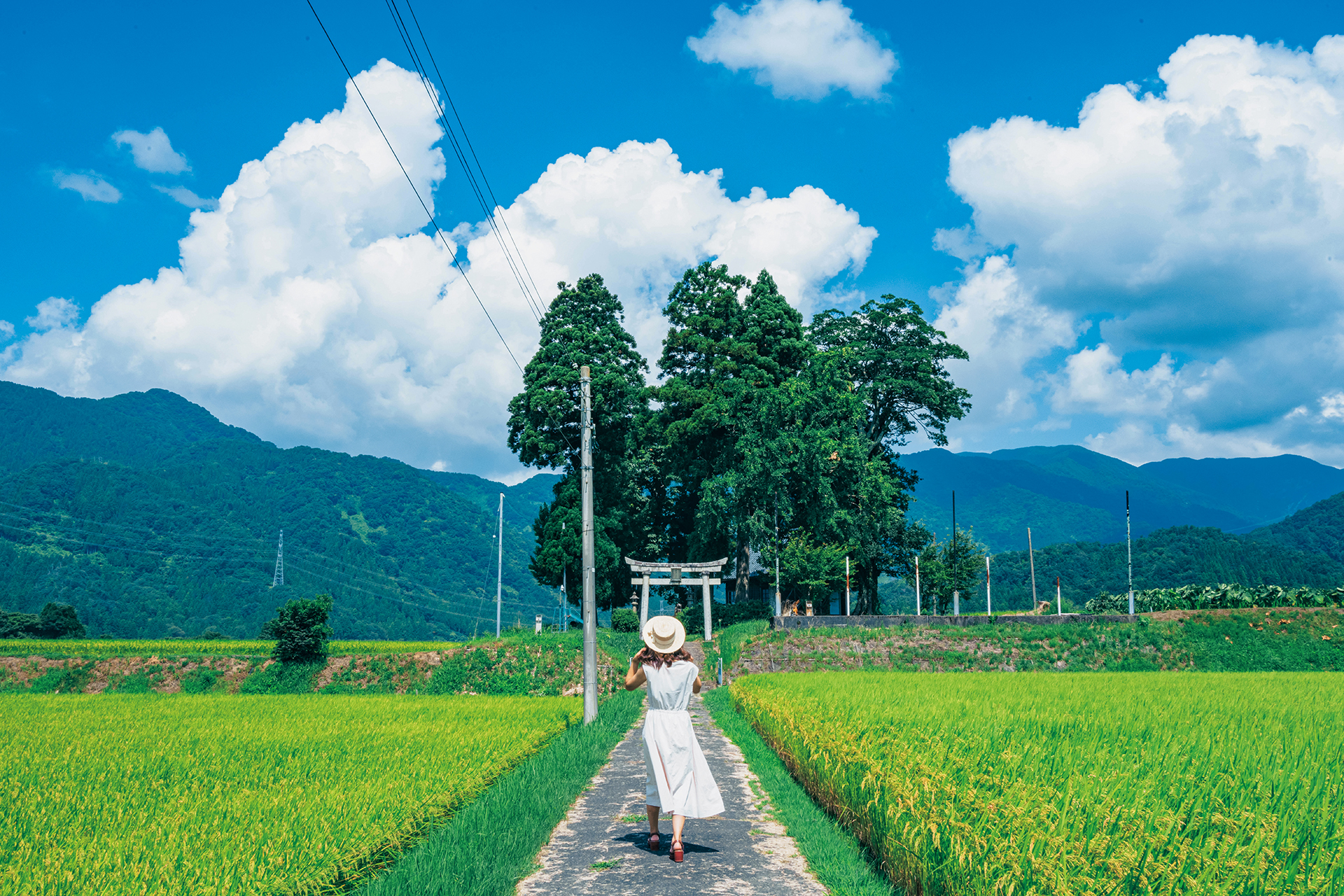 左が調整前、右が調整後