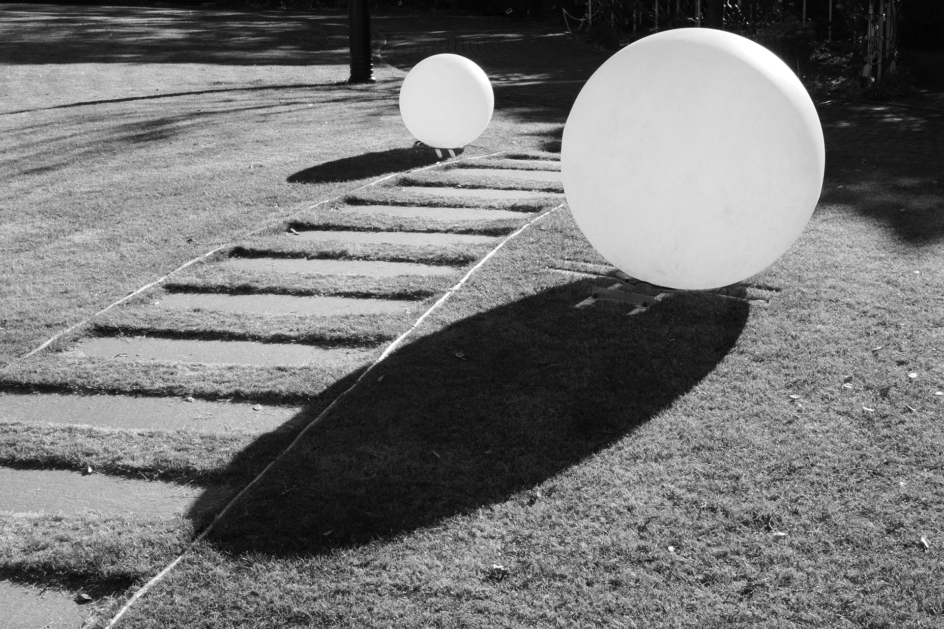 モノクロプロファイル3