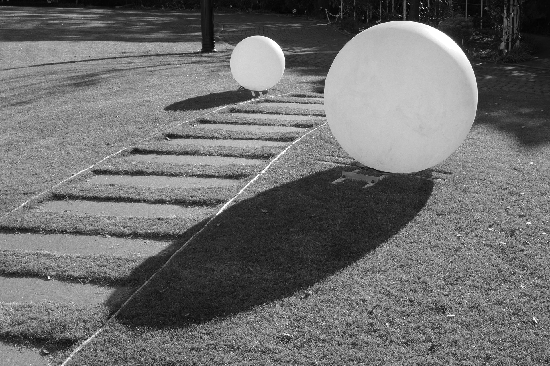 モノクロプロファイル4